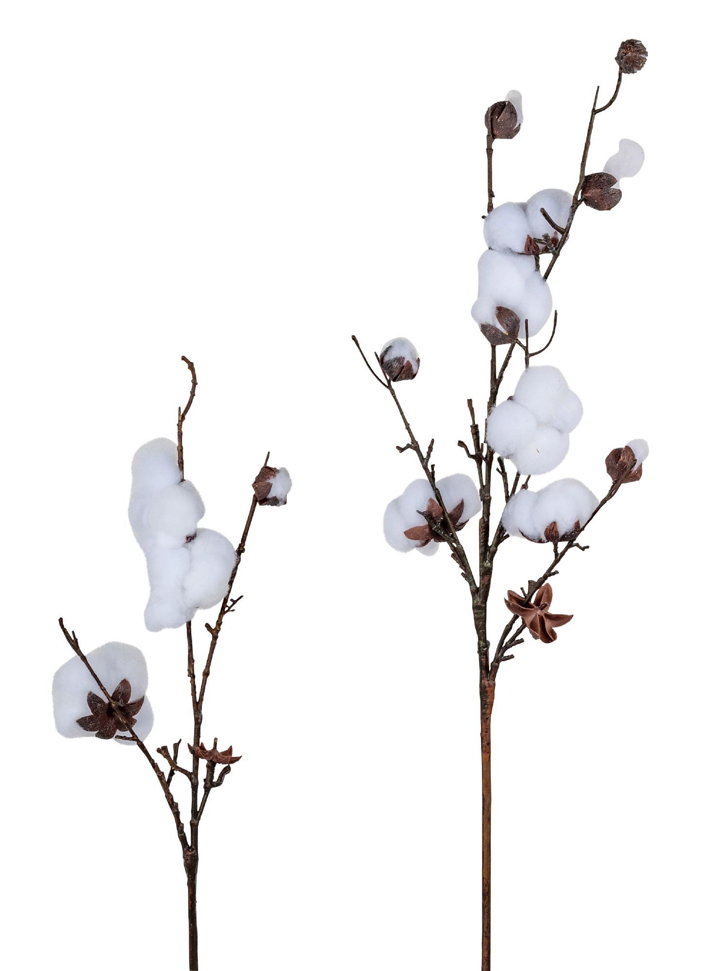 Kunstblume Winterzeit, formano, Höhe 60 cm, Höhe: 60cm, Farbe: Weiß, Motiv: Baumwolle