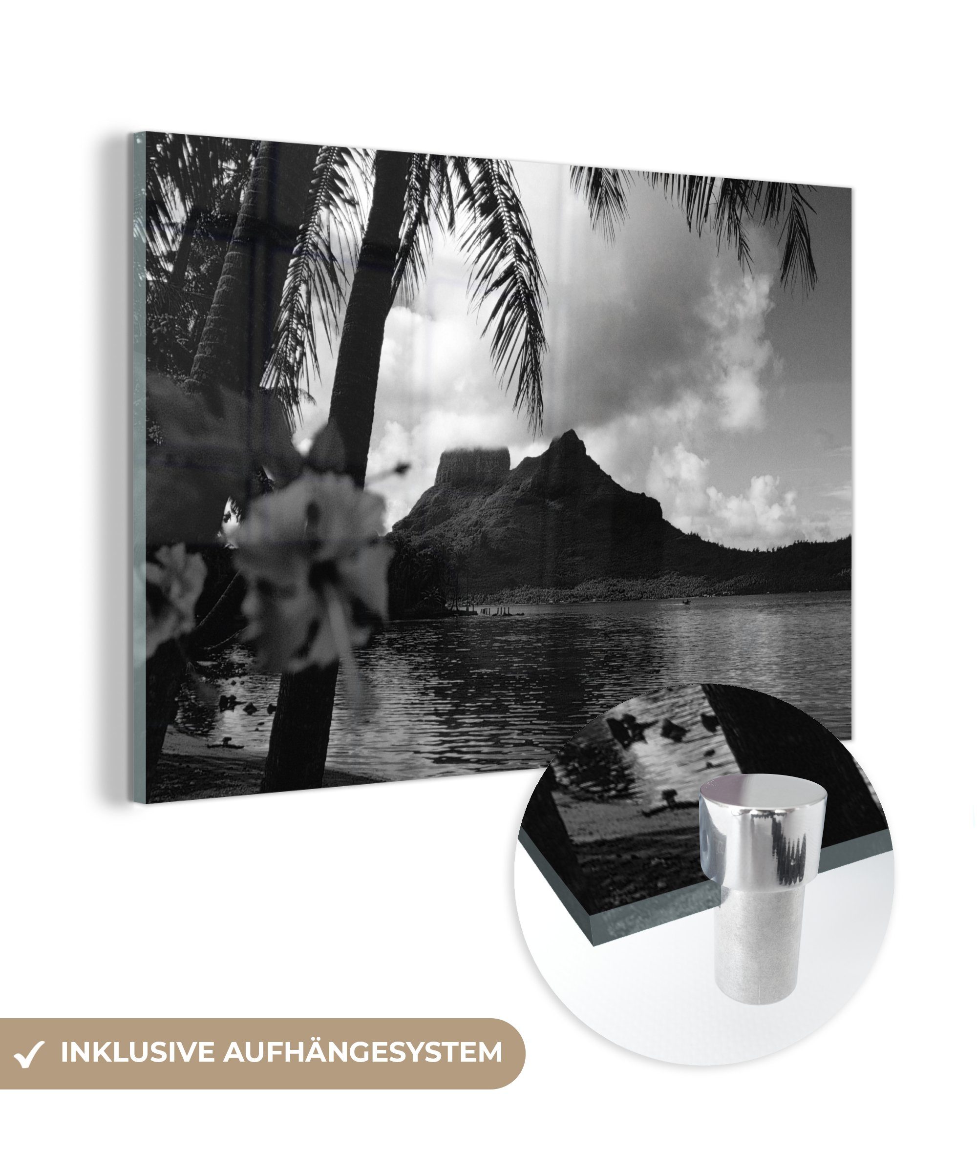 MuchoWow Acrylglasbild Blumen auf Bora Bora - schwarz und weiß, (1 St), Acrylglasbilder Wohnzimmer & Schlafzimmer