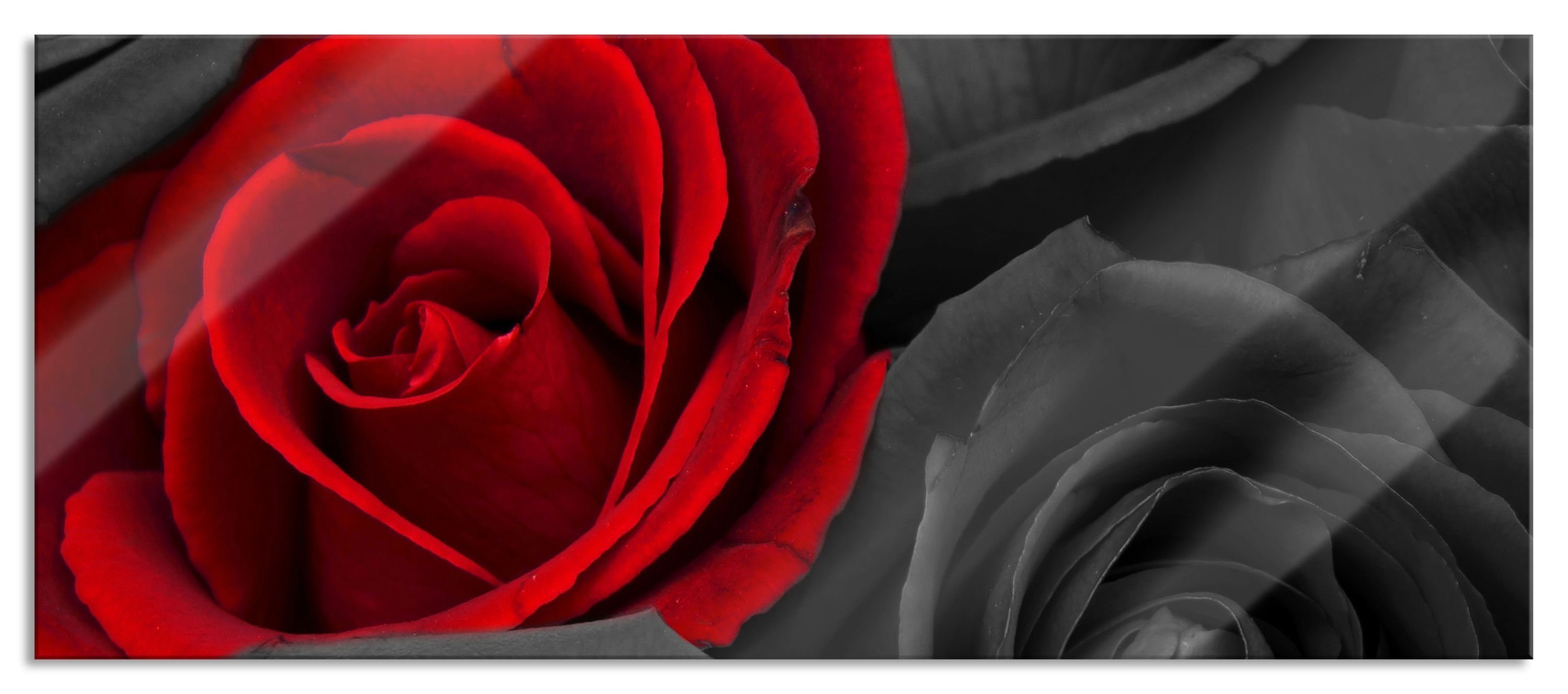 Glasbild romantische rote Rosen