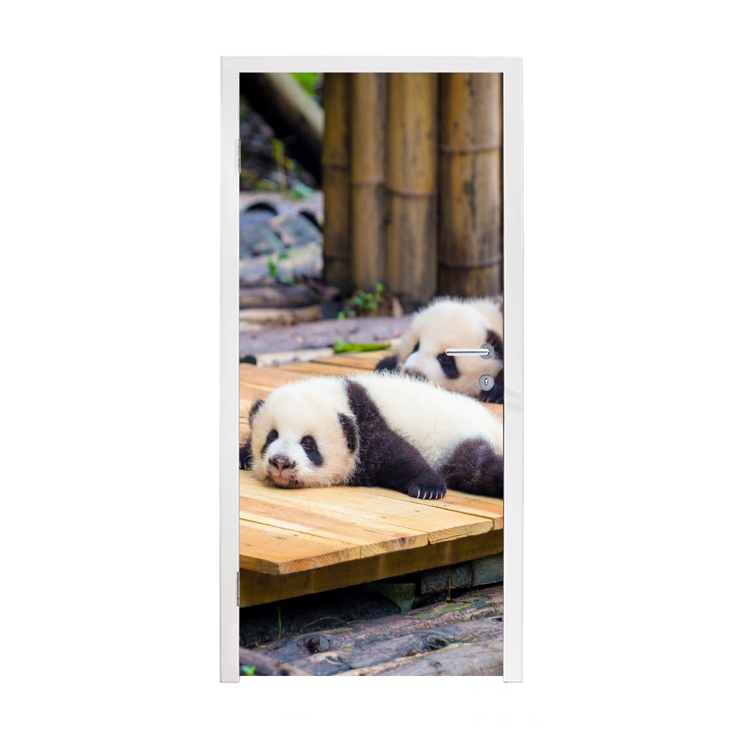 MuchoWow Türtapete Pandas - Boden - Holz, Matt, bedruckt, (1 St), Fototapete für Tür, Türaufkleber, 75x205 cm