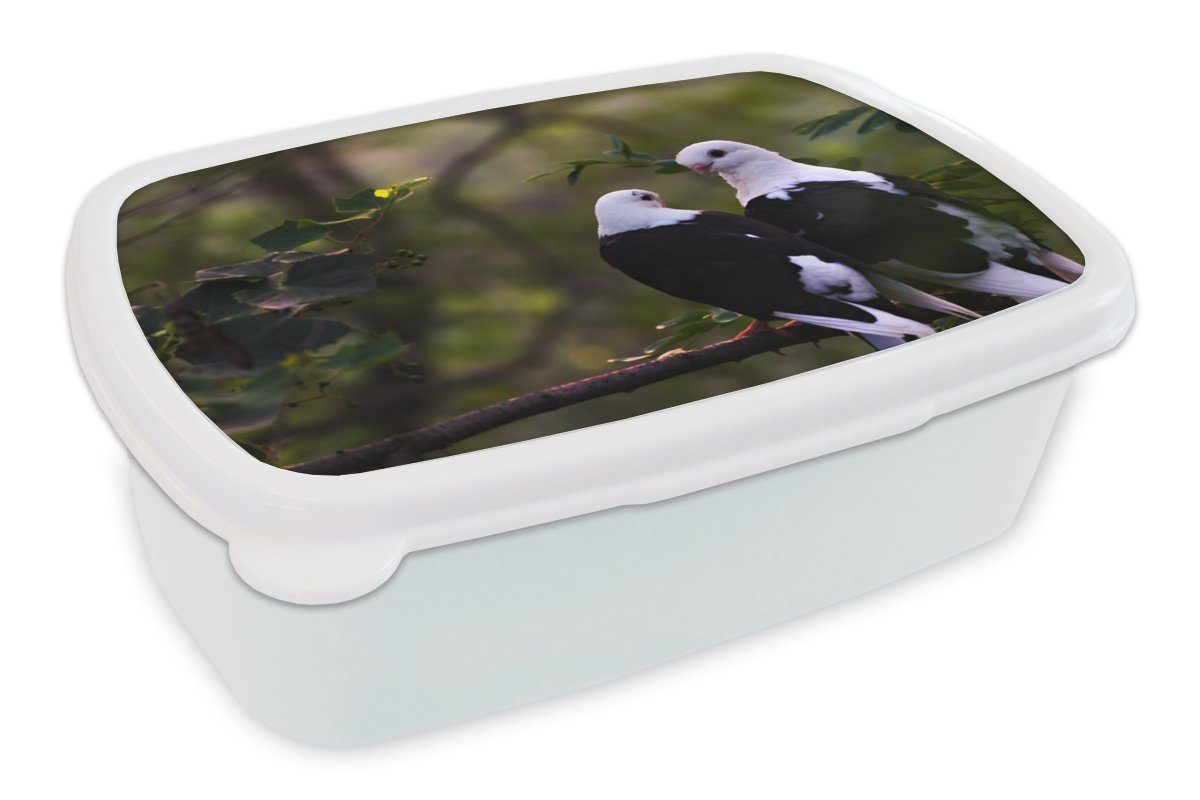 MuchoWow Lunchbox Vögel - Zweig - Blätter, Kunststoff, (2-tlg), Brotbox für Kinder und Erwachsene, Brotdose, für Jungs und Mädchen weiß | Lunchboxen