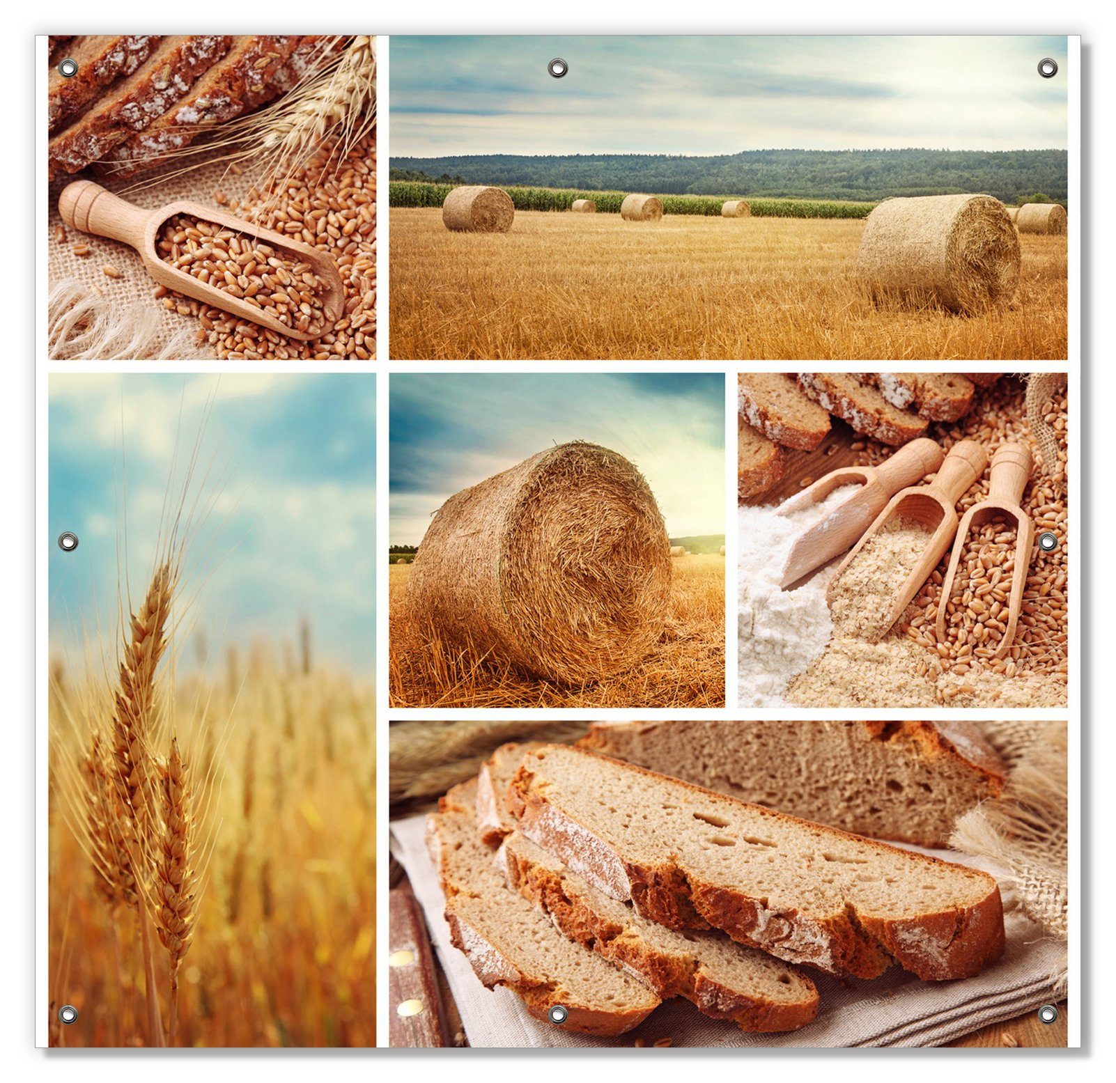 Sonnenschutz Weizen und Mehl Vom Saugnäpfen, blickdicht, Brot, wiederablösbar wiederverwendbar mit und Wallario, zum Korn