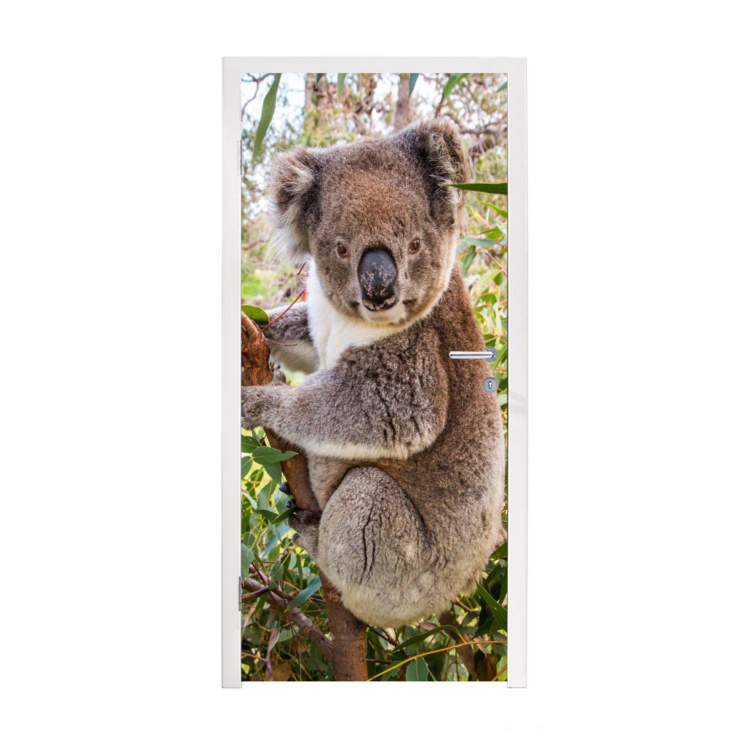 MuchoWow Türtapete Koala - Baum - Blätter - Kinder - Jungen - Mädchen, Matt, bedruckt, (1 St), Fototapete für Tür, Türaufkleber, 75x205 cm
