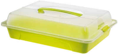 ROTHO Kuchentransportbox Cool + Fresh, Kunststoff, (1-tlg), ideal für Törtchen, Sandwichs, Partywürste uvm.