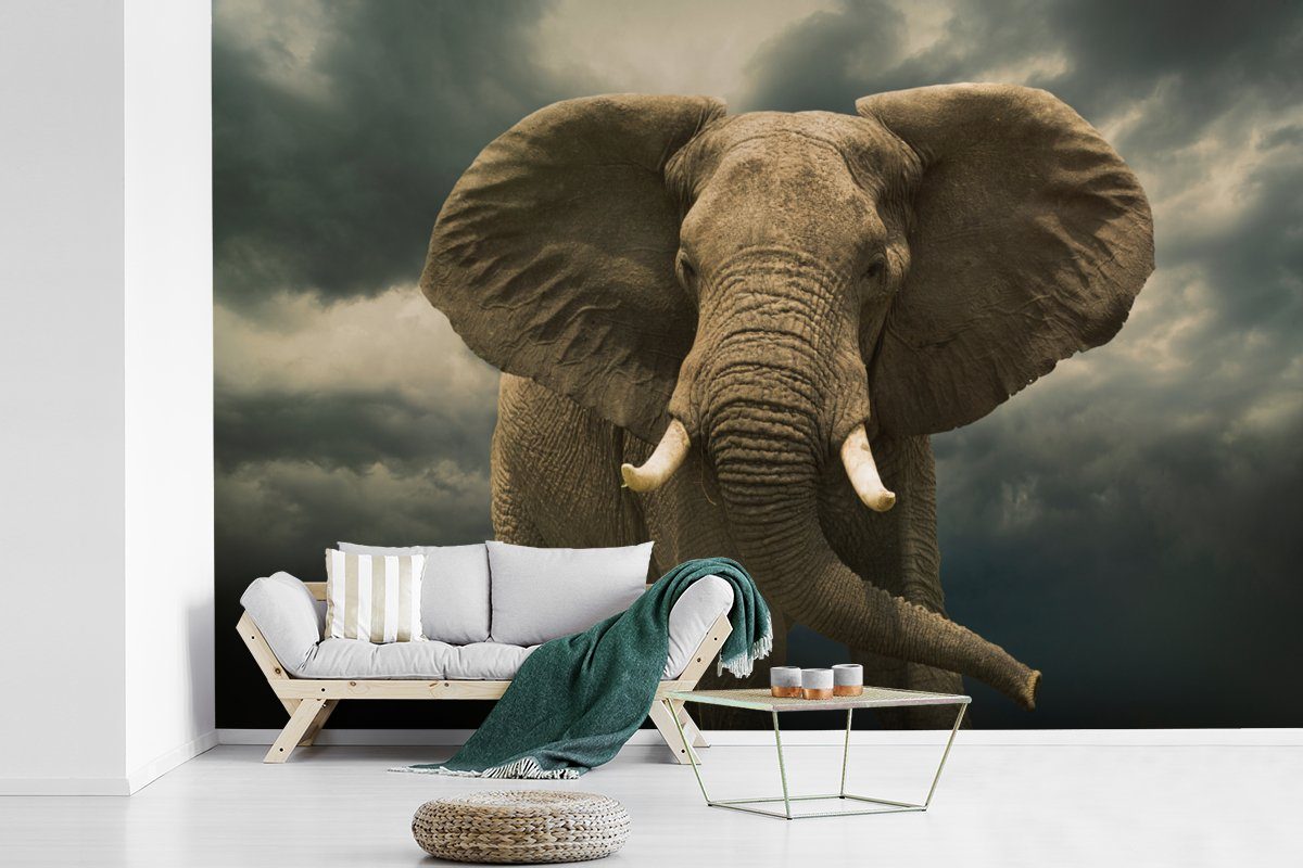 die St), Vinyl für Fototapete Afrikanischer Elefant Wolken, bedruckt, Wohnzimmer, gegen Wallpaper Tapete dunklen Matt, (6 Schlafzimmer, MuchoWow Kinderzimmer,
