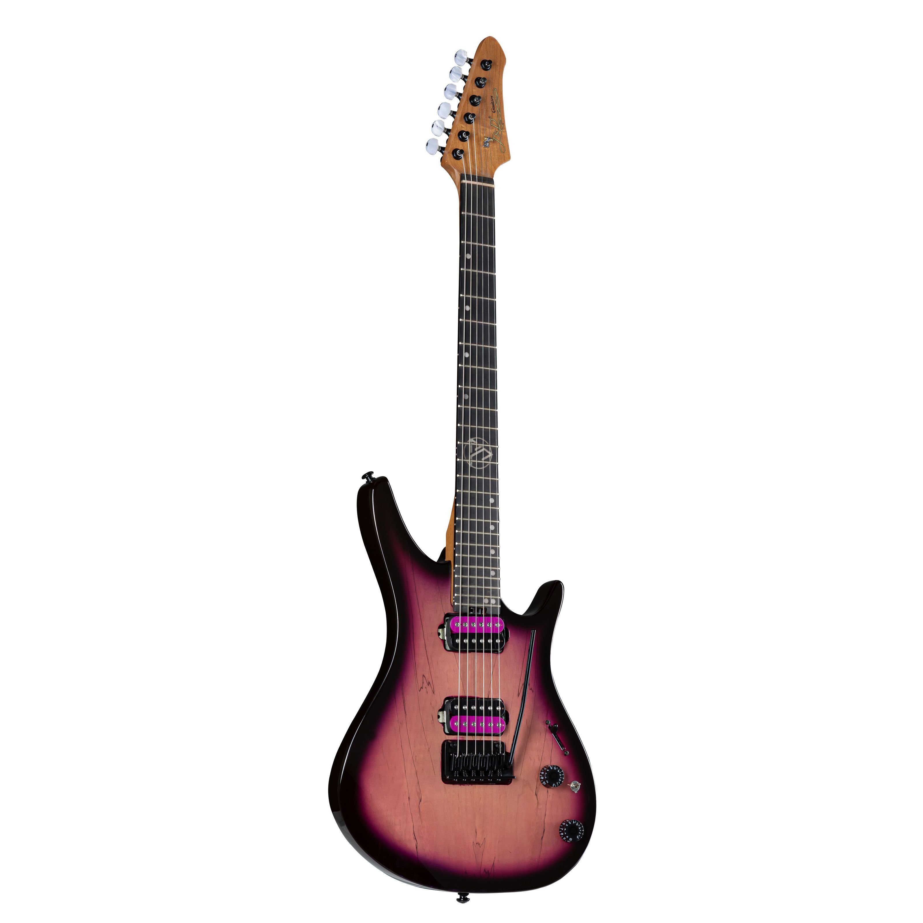 J & D E-Gitarre, DX-100DM E-Gitarre Plum Burst Finish Ergonomischer Korpus Roasted Maple Neck Custom Humbucker 2-Point Tremolo, E-Gitarren, ST-Modelle, DX-100DM E-Gitarre, Plum Burst Finish, Ergonomischer Korpus