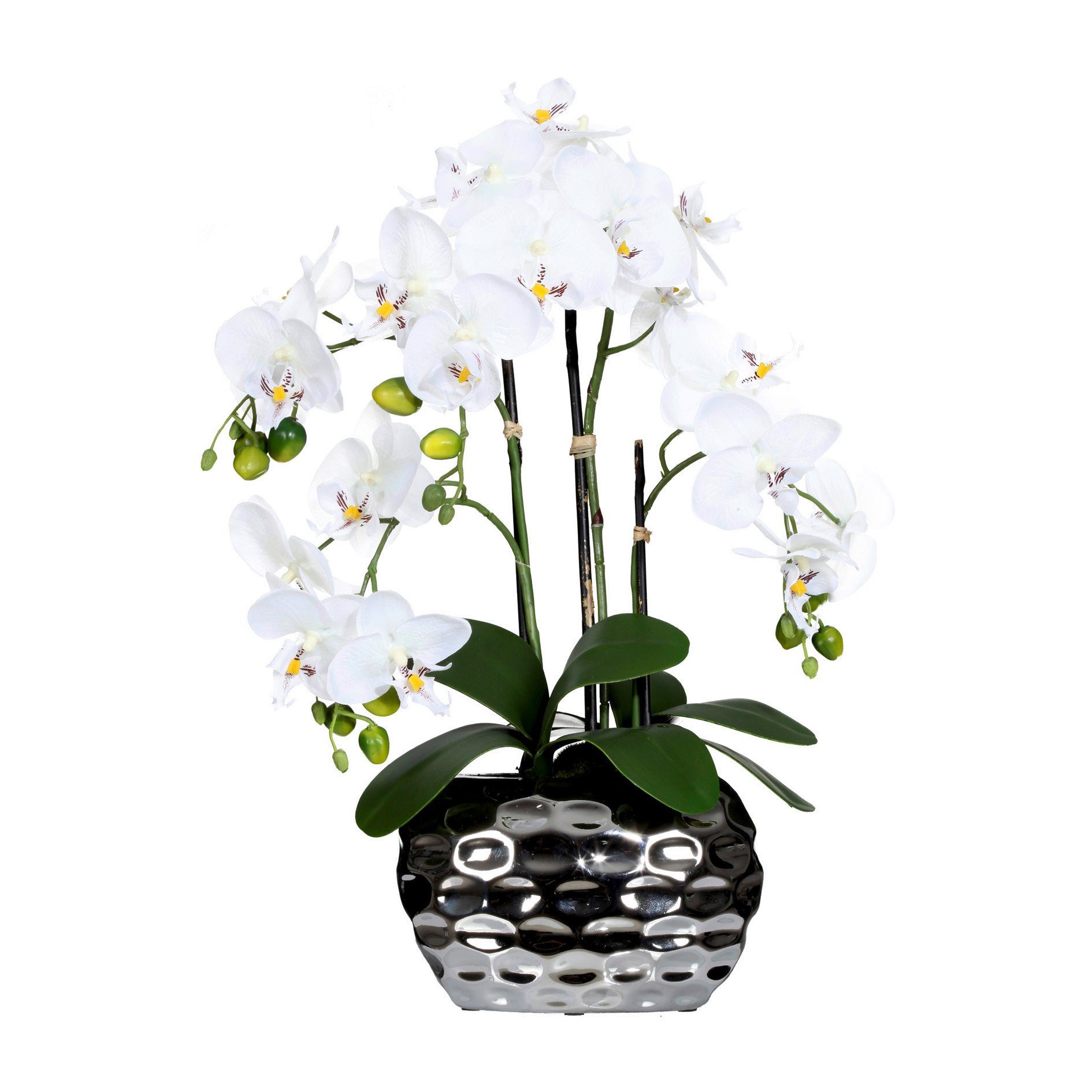 Kunstorchidee Kunstpflanze Orchidee Orchidee, Creativ green, günstig online kaufen