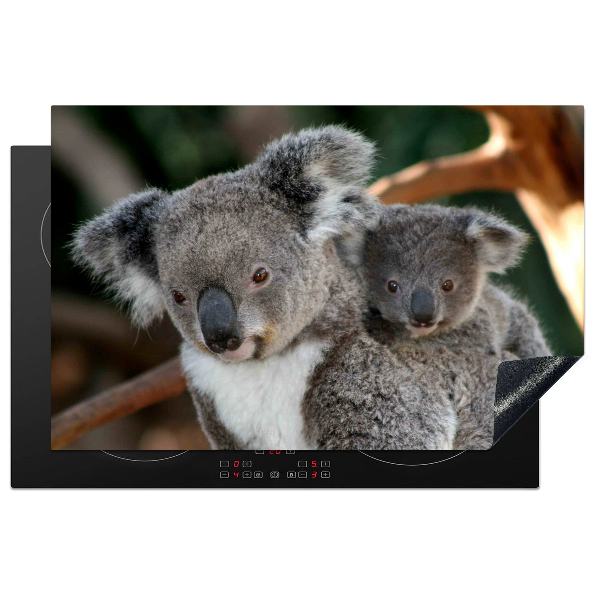 MuchoWow Herdblende-/Abdeckplatte Koalas - Vater - Kind - Jungen - Mädchen, Vinyl, (1 tlg), 81x52 cm, Induktionskochfeld Schutz für die küche, Ceranfeldabdeckung