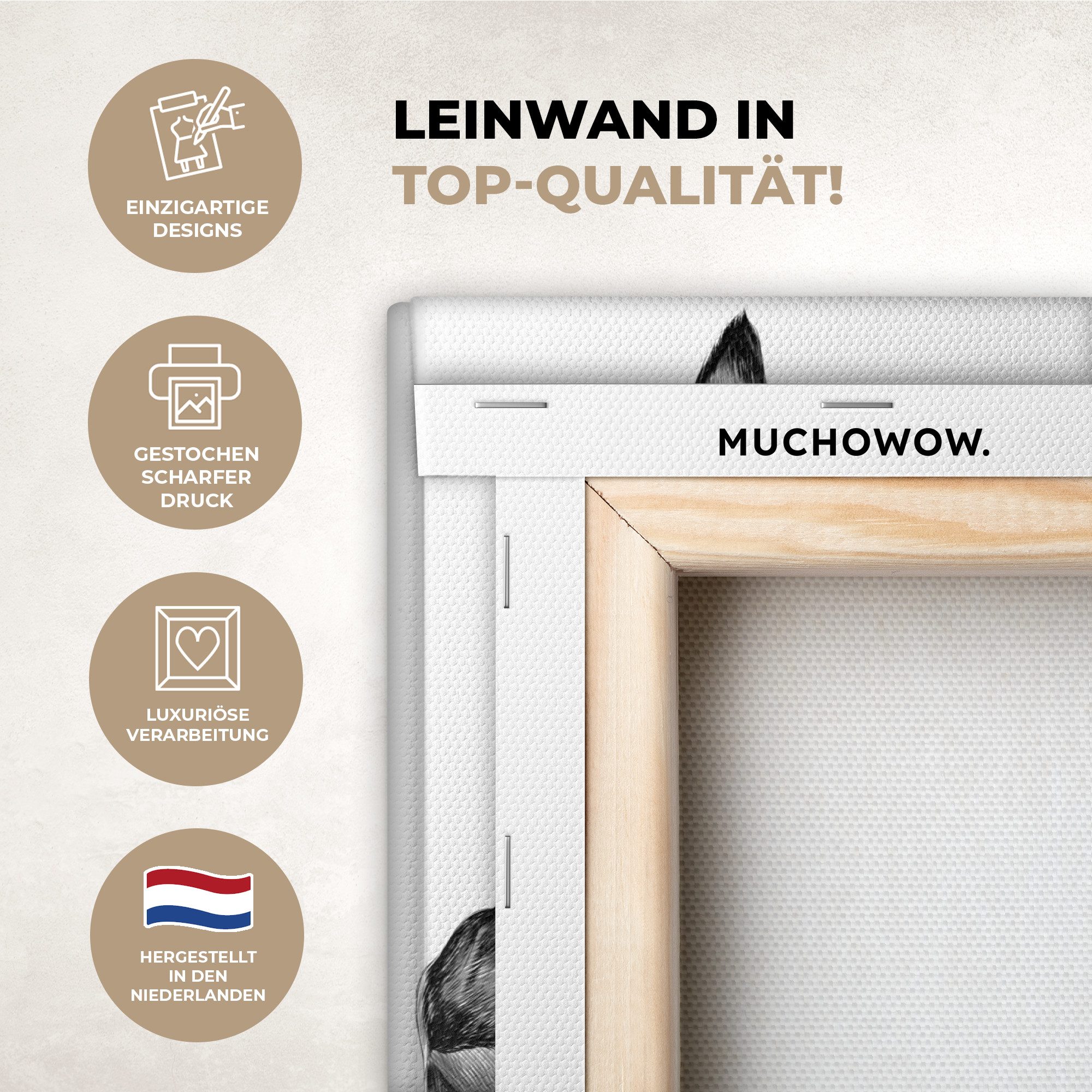 OneMillionCanvasses® Leinwandbild Zitat - Esel - Dieren - Nice ass - Sprüch günstig online kaufen