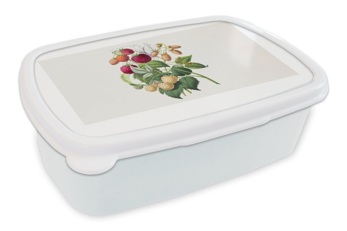 Brotbox Brotdose, MuchoWow Jungs weiß Obst Kinder und und Erdbeere Lunchbox - für Erwachsene, Vintage, Mädchen - Kunststoff, für (2-tlg),