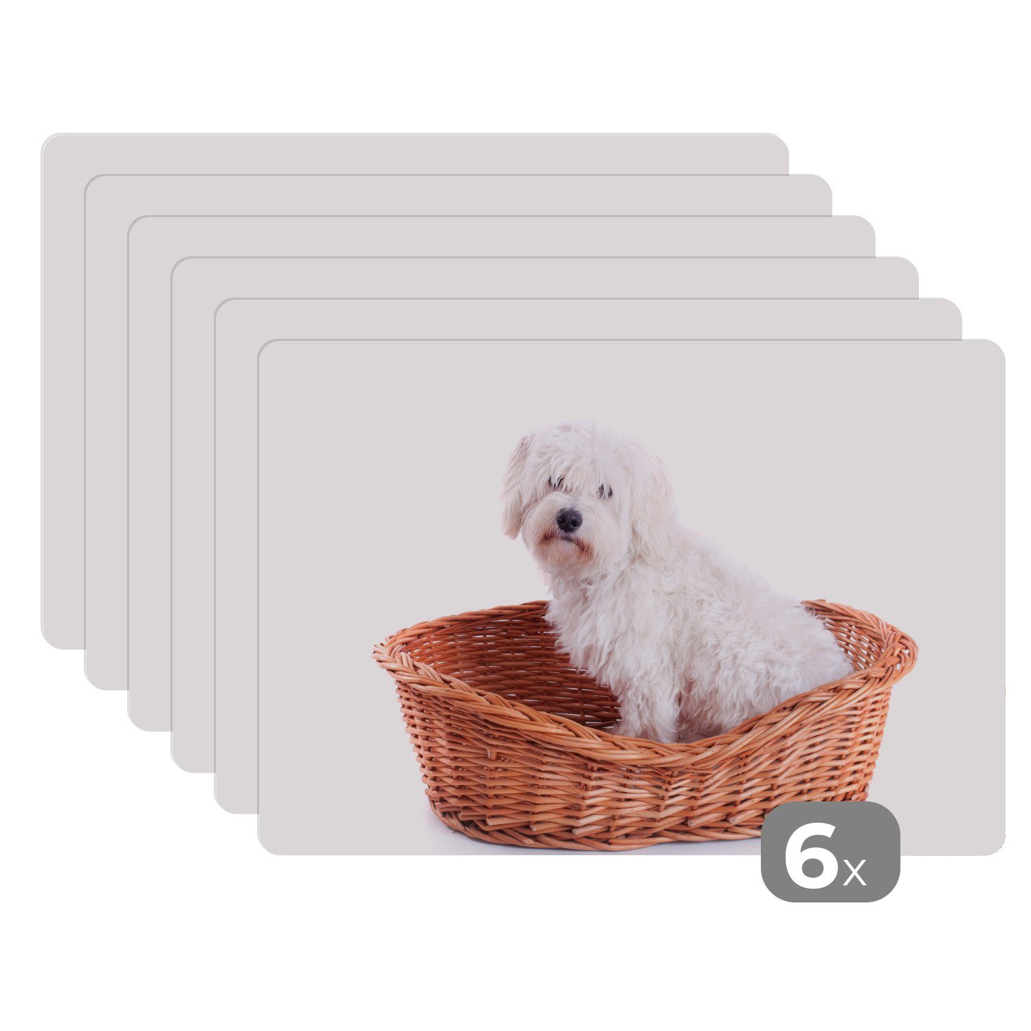 Platzset, Malteser Hund im Korb sitzend, MuchoWow, (6-St), Platzset, Platzdecken, Platzmatte, Tischmatten, Schmutzabweisend