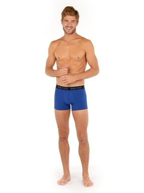 Hom Boxer Brian no.2 (2-St)