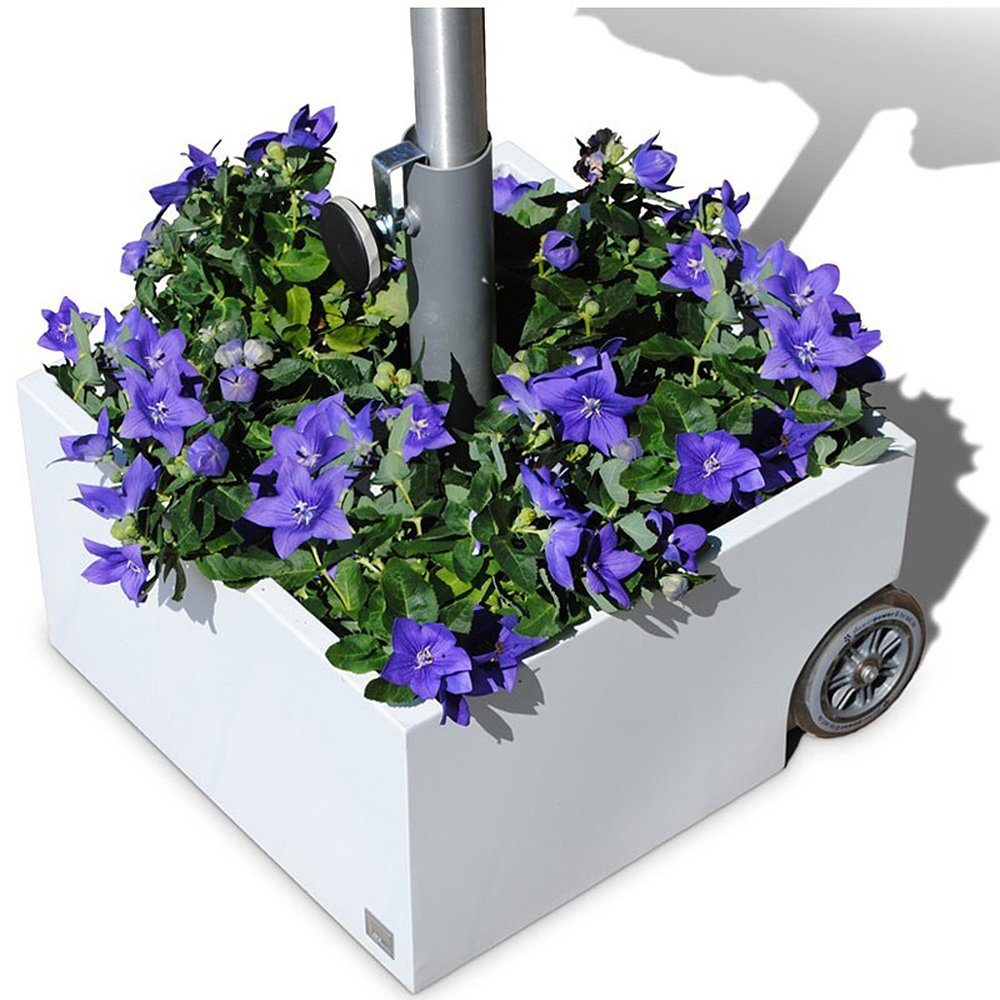 XXD Blumenkasten XXD Sonnenschirmständer weiß rollbar & bepflanzbar  Flowerpower