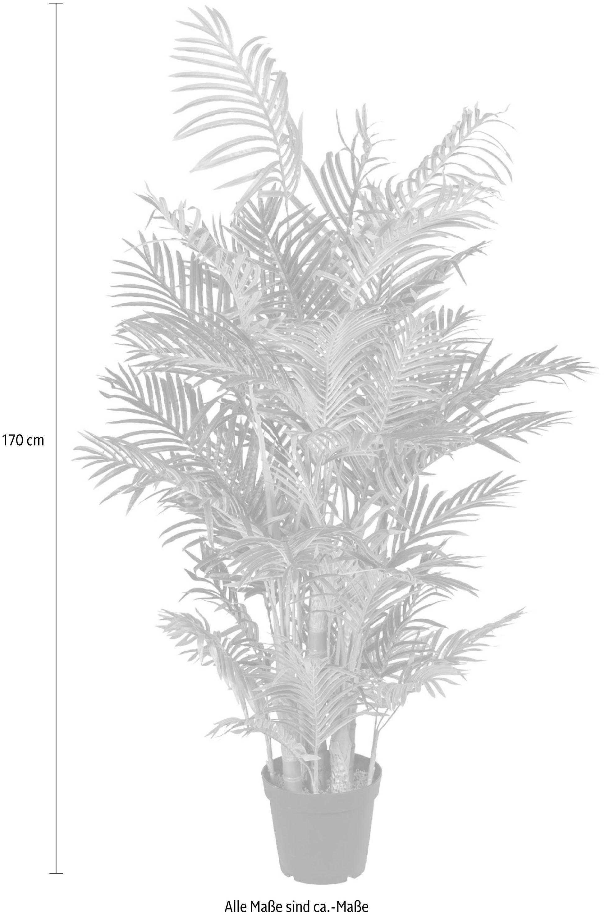 Kunstpalme Arecapalme Palme, Creativ green, Höhe 170 cm