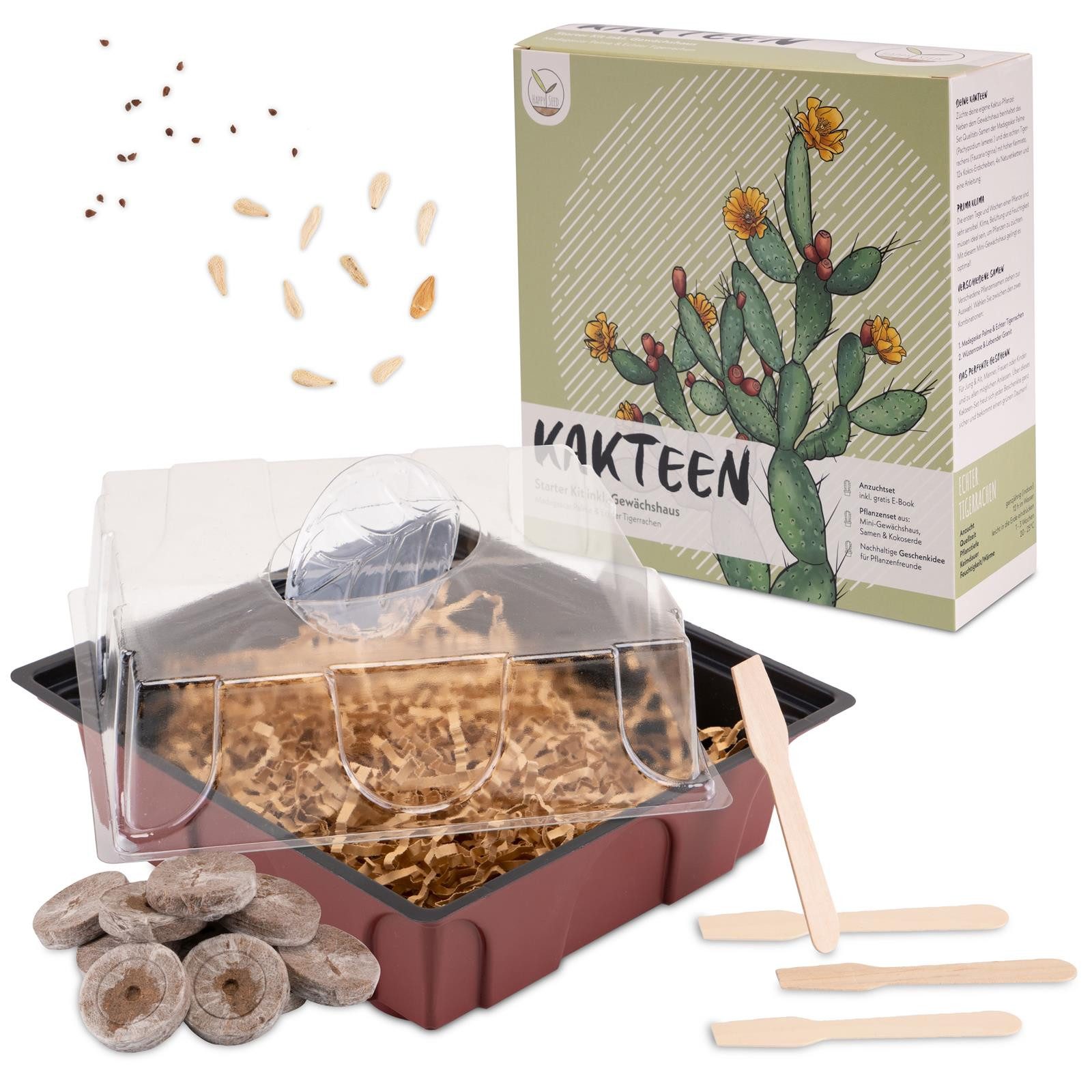 Blumensamen Kakteen Starter Kit - Gewächshaus & Samen (Mad. Palme + Tigerrachen)