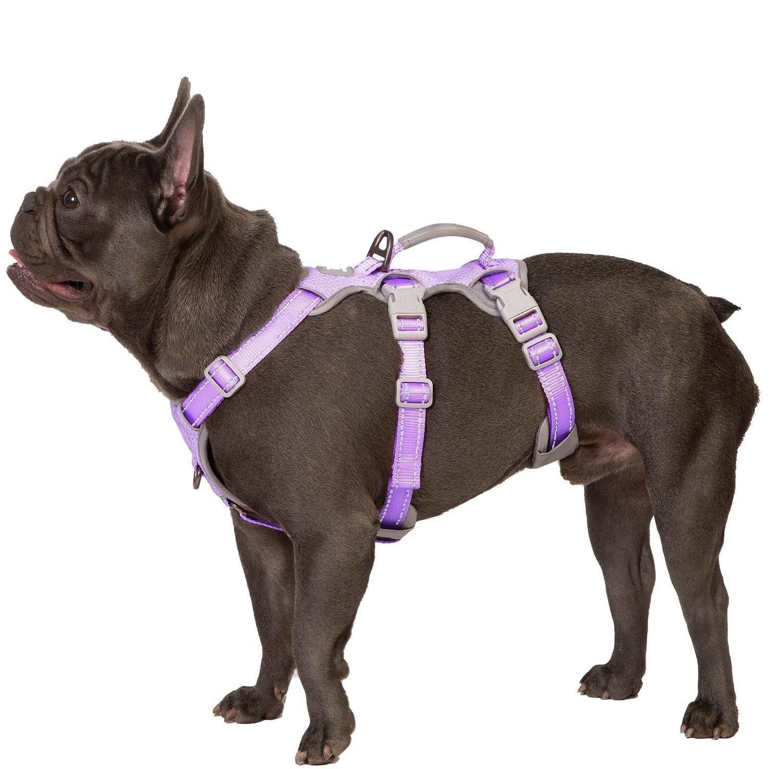 LuxusKollektion Hunde-Sicherheitsgeschirr Hundegeschirr Ausbruchsicher Gr S Lavendel, Textil