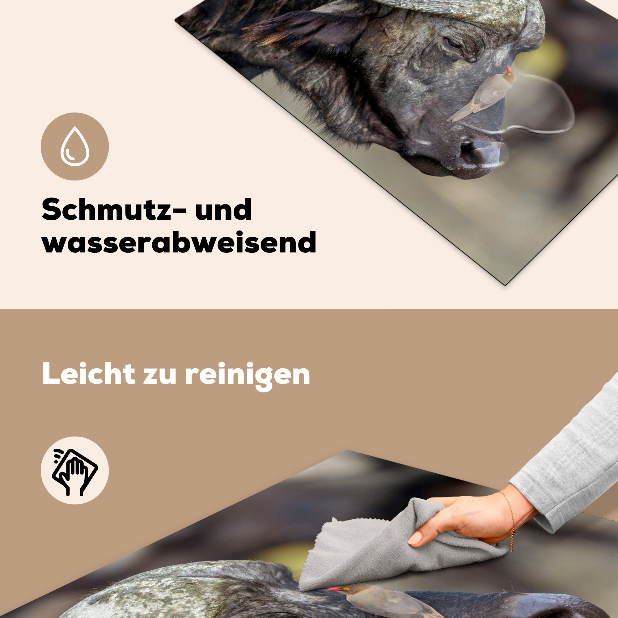 MuchoWow Herdblende-/Abdeckplatte Büffel - - cm, Vinyl, tlg), 81x52 für Induktionskochfeld die Vogel Ceranfeldabdeckung (1 Schutz küche, Tiere