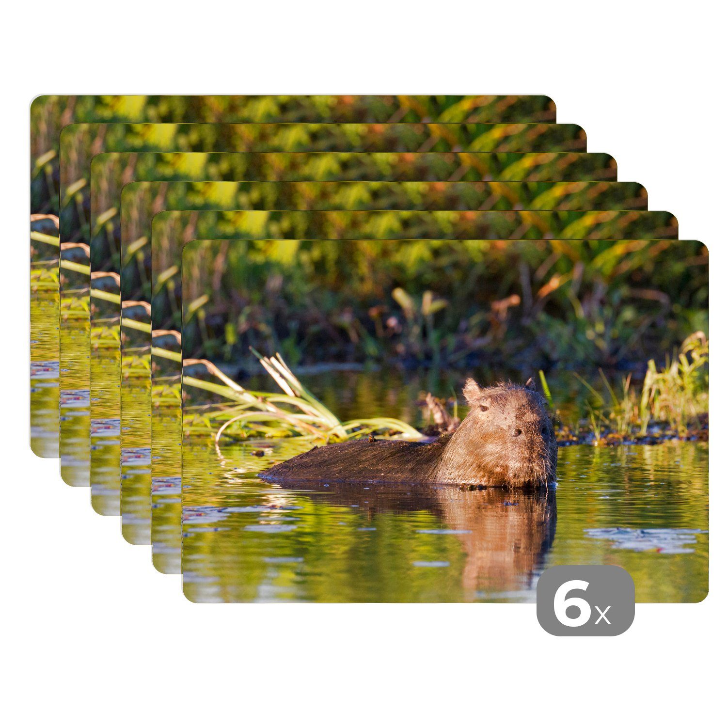 Platzset, Capybara im Wasser, MuchoWow, (6-St), Platzset, Platzdecken, Platzmatte, Tischmatten, Schmutzabweisend