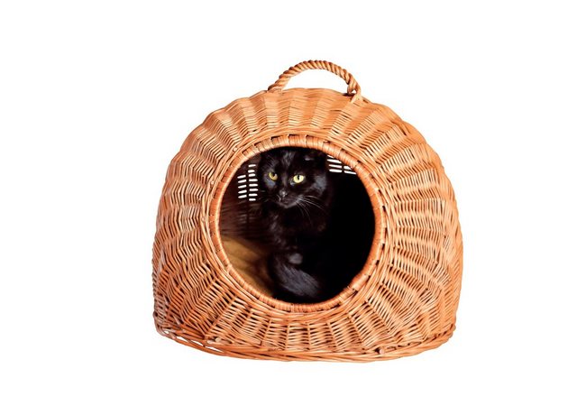 Transportbox »Katzenkorb« Transportbox »Katzenkorb«