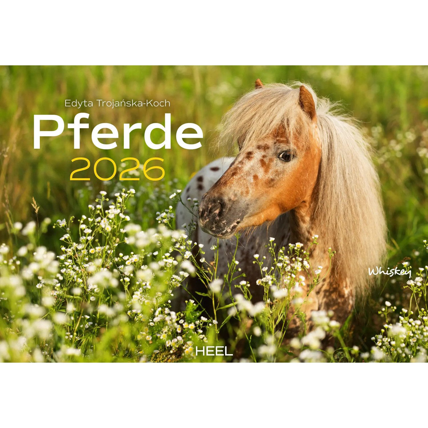 HEEL Verlag Wandkalender Pferde Kalender 2026 Wandkalender