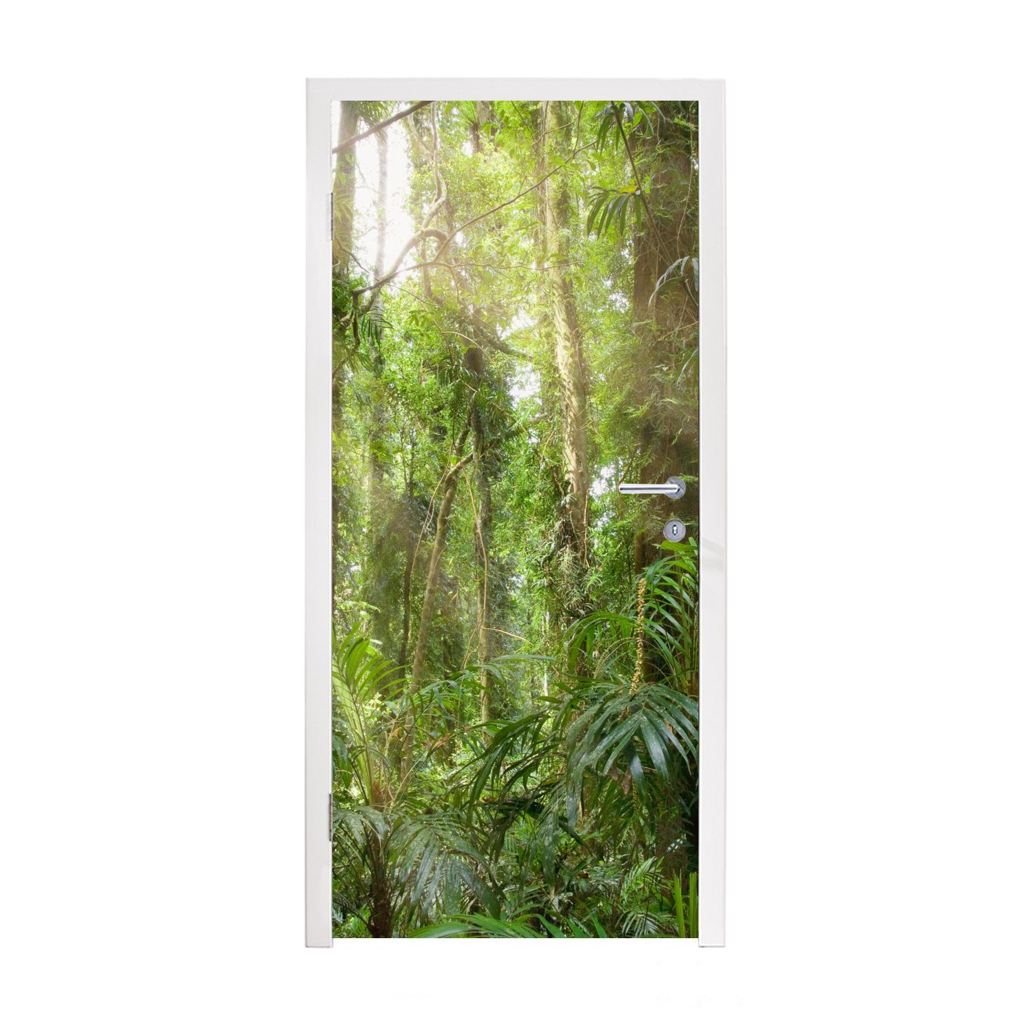 MuchoWow Türtapete Licht im Wald, Matt, bedruckt, (1 St), Fototapete für Tür, Türaufkleber, 75x205 cm