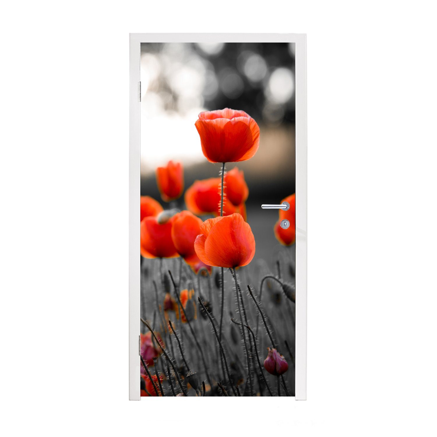 MuchoWow Türtapete Rote Mohnblumen vor schwarzem und weißem Hintergrund, Matt, bedruckt, (1 St), Fototapete für Tür, Türaufkleber, 75x205 cm