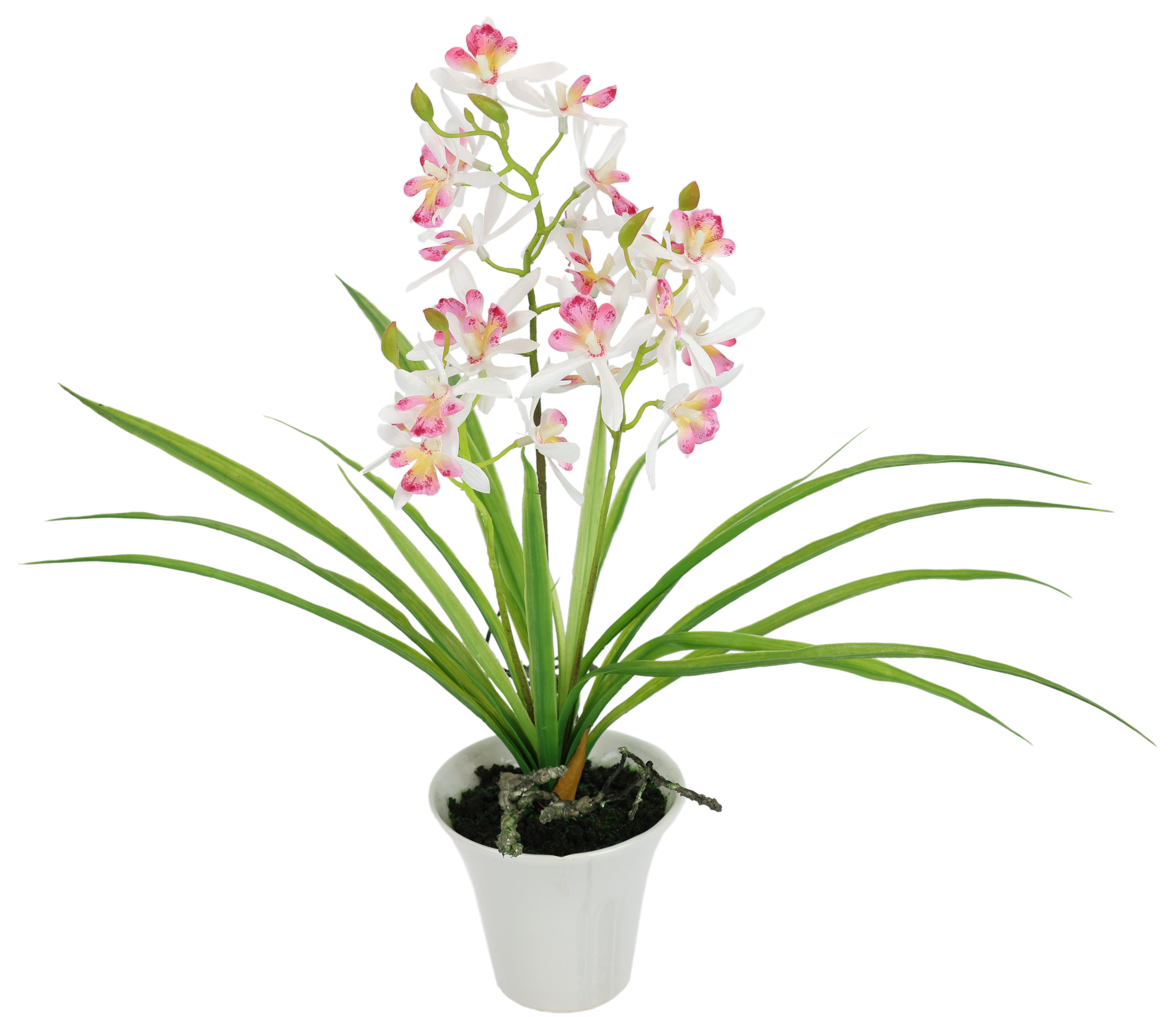 Kunstorchidee Künstliche Orchidee mit Topf, I.GE.A., Höhe 40 cm, Dekoblume günstig online kaufen