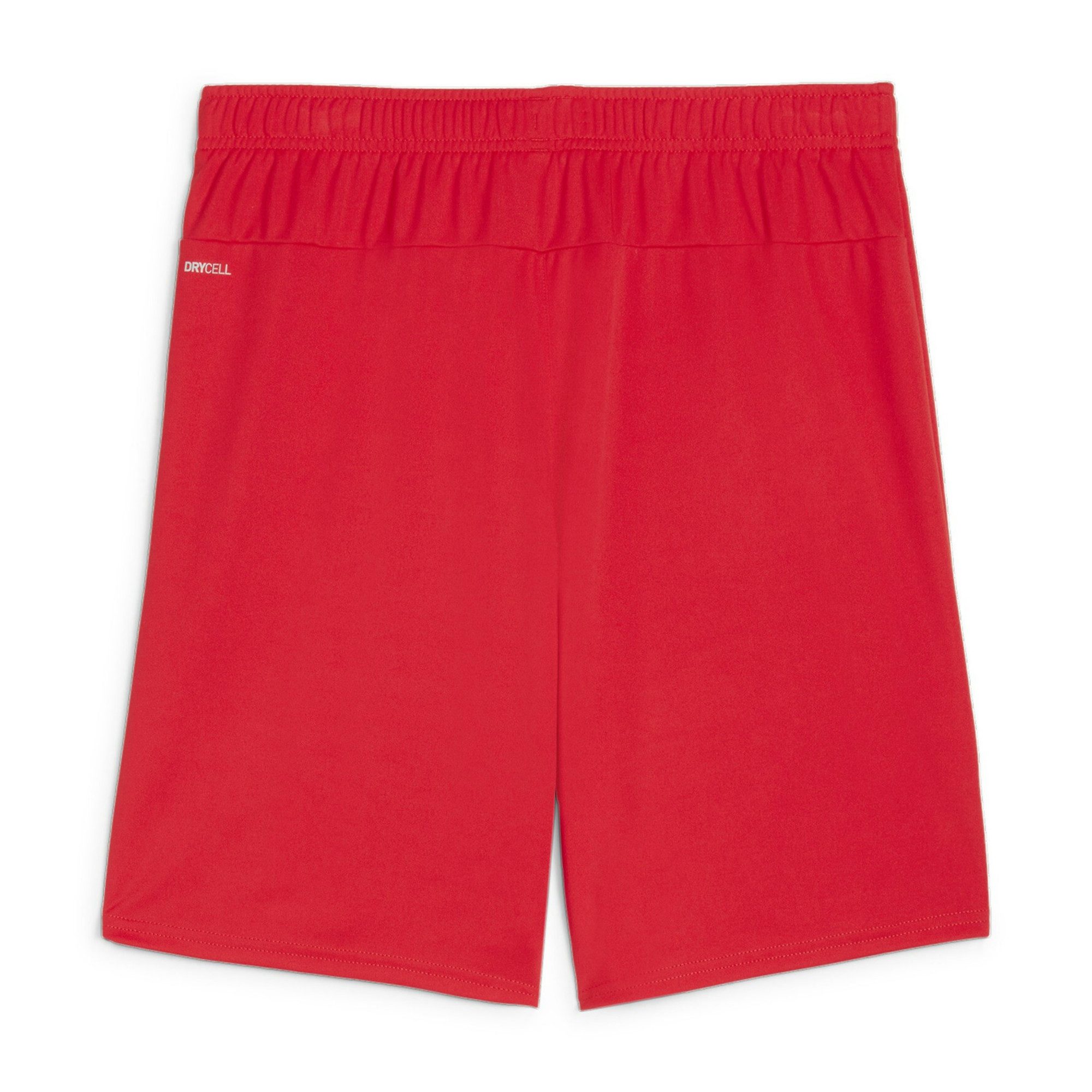 PUMA Trainingsshorts Puma Herren Short teamGOAL Shorts 705752 günstig online kaufen