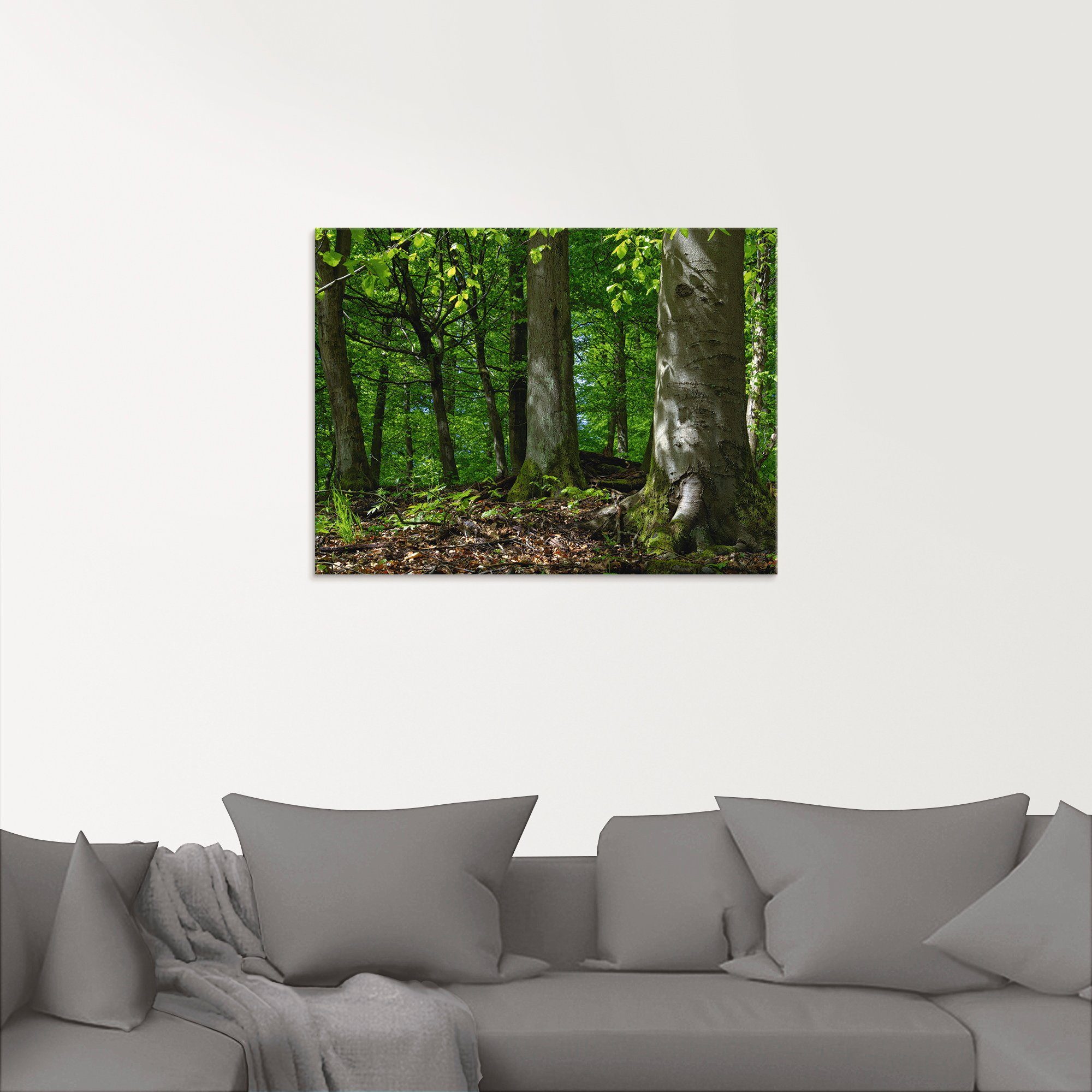 Artland Glasbild »Frühling im Buchenwald«, Wald (1 Stück)-kaufen