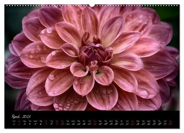 CALVENDO Wandkalender Floral Portraits Visual Music of Flowers (Premium-Calendar 2023 DIN A2 Landscape)