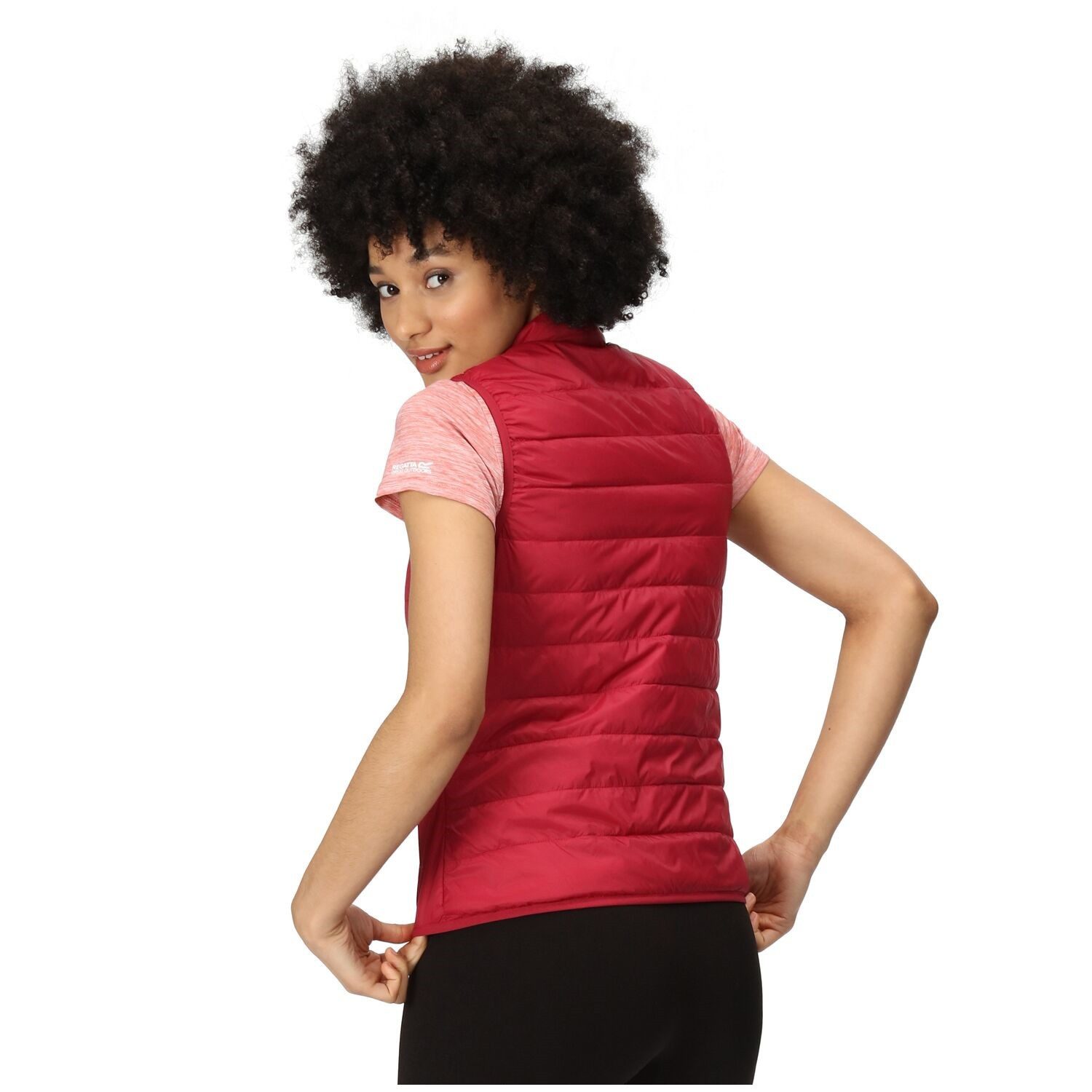 Regatta Softshellweste Steppweste Hillpack günstig online kaufen