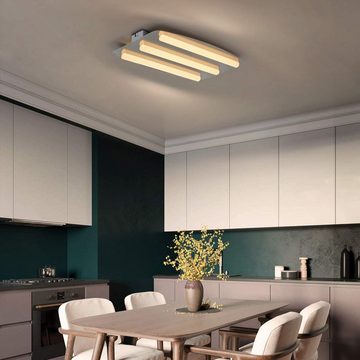 Nettlife LED Deckenleuchte Flur Deckenlampe Grau 2/3 Flammig 3000K Edelstahl Acryl, LED fest integriert, Warmweiß, für Flur Küche Wohnzimmer Esszimmer