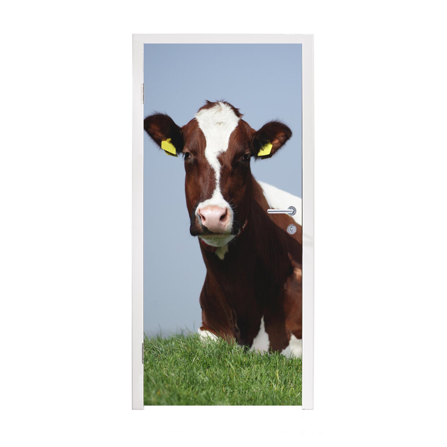 MuchoWow Türtapete Kühe - Gras - Friesland, Matt, bedruckt, (1 St), Fototapete für Tür, Türaufkleber, 75x205 cm