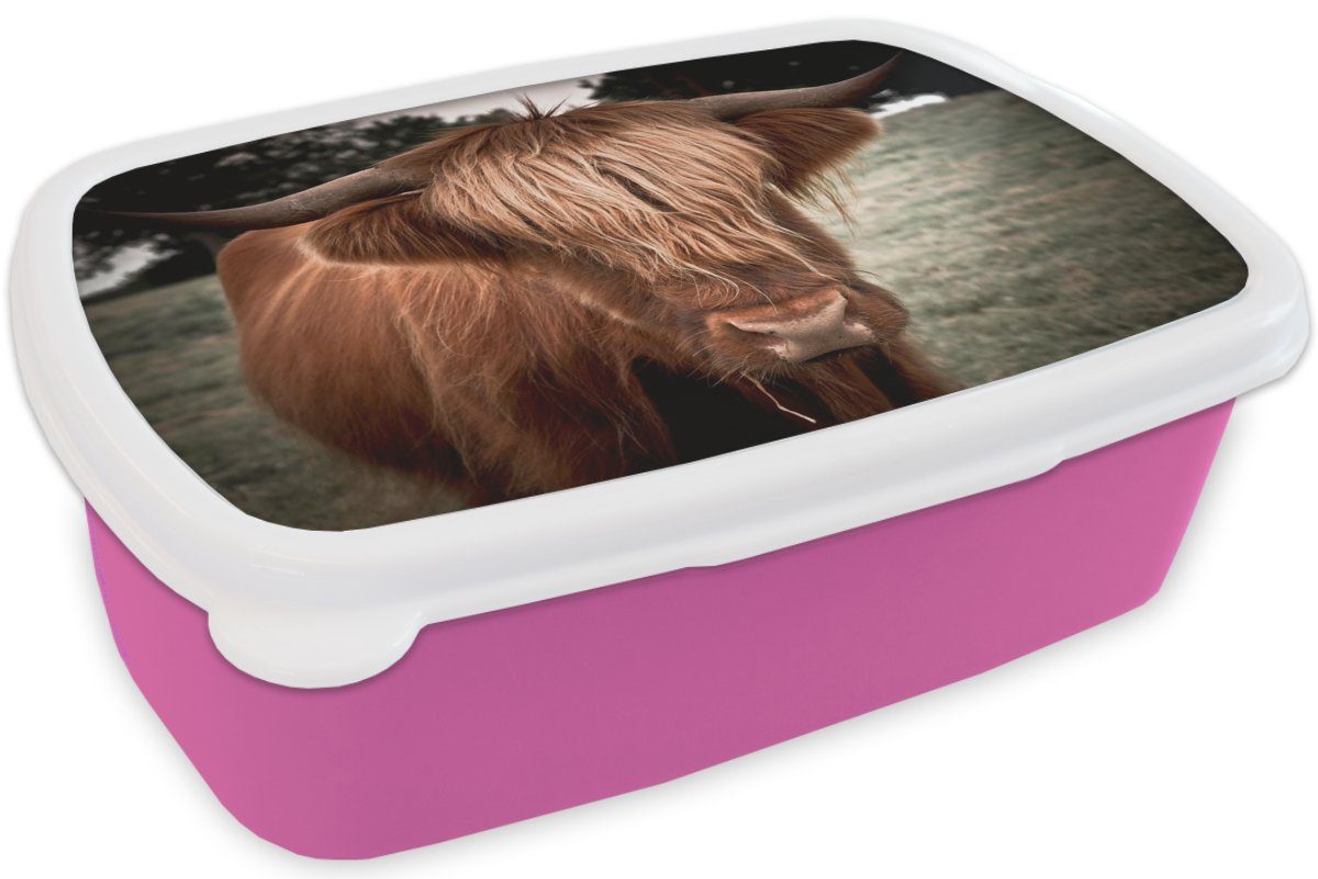 MuchoWow Lunchbox Brotbox (2-tlg), Snackbox, - Kunststoff Highlander Schottischer Mädchen, Kinder, Gras, Baum Erwachsene, Kunststoff, rosa Brotdose - für