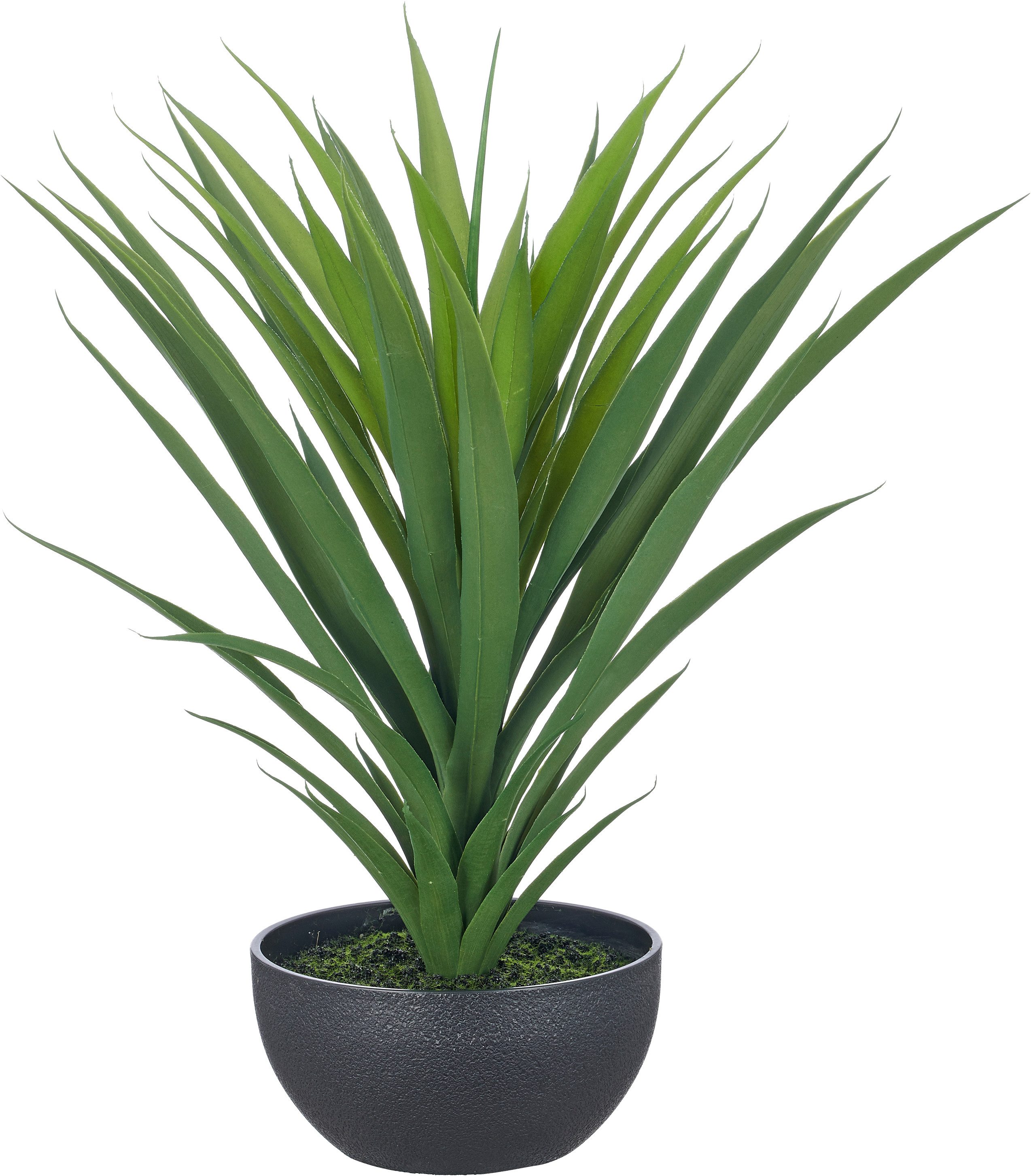 Kunstpflanze Yucca filamentosa, Creativ green, Höhe 53 cm, mit naturgetreuem Blattwerk