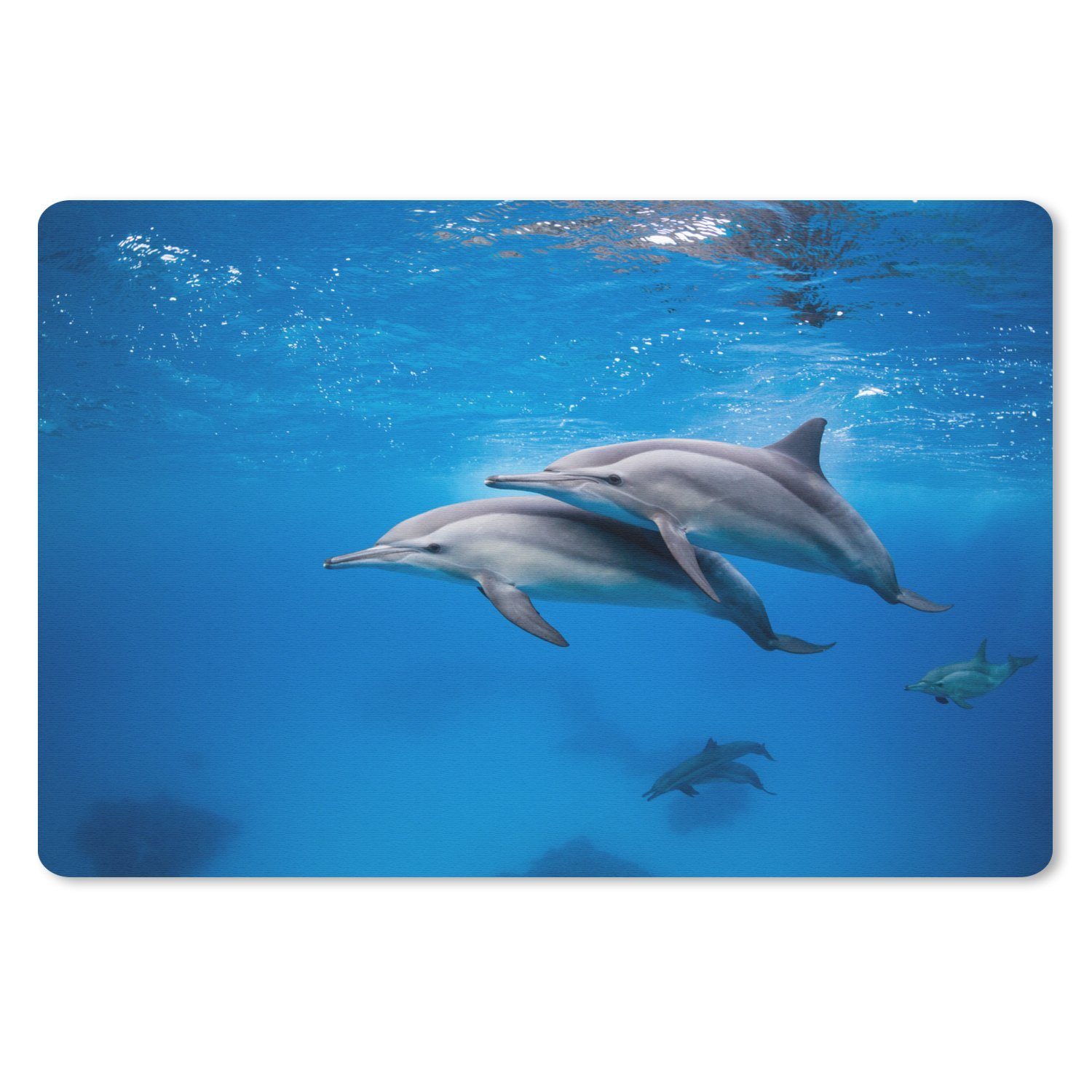 MuchoWow Mauspad Delfin - Meer - Ägypten (1-St), Mouse pad Klein, Gaming Deko, PC Zubehör, 27x18 cm