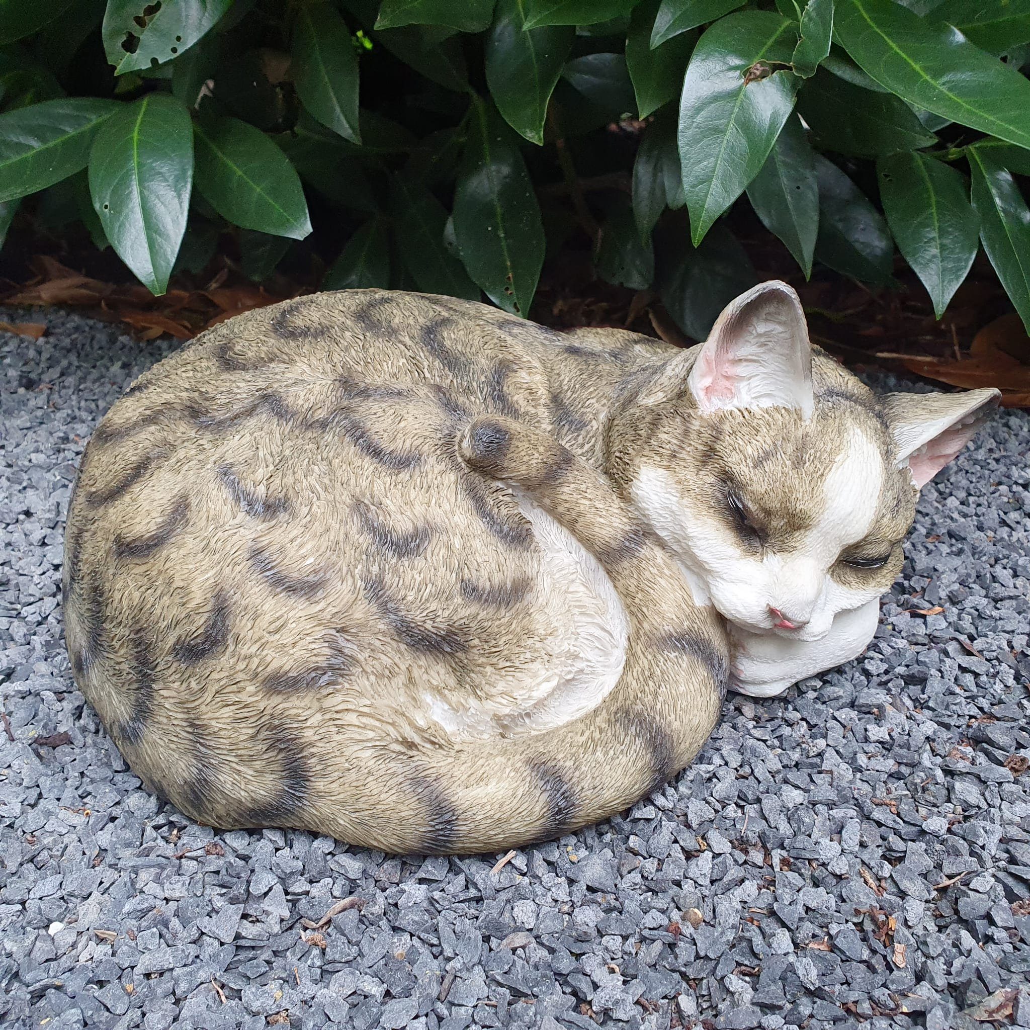 wetterfest Katzen Gartenfigur Aspinaworld Figur 13 Schlafende cm