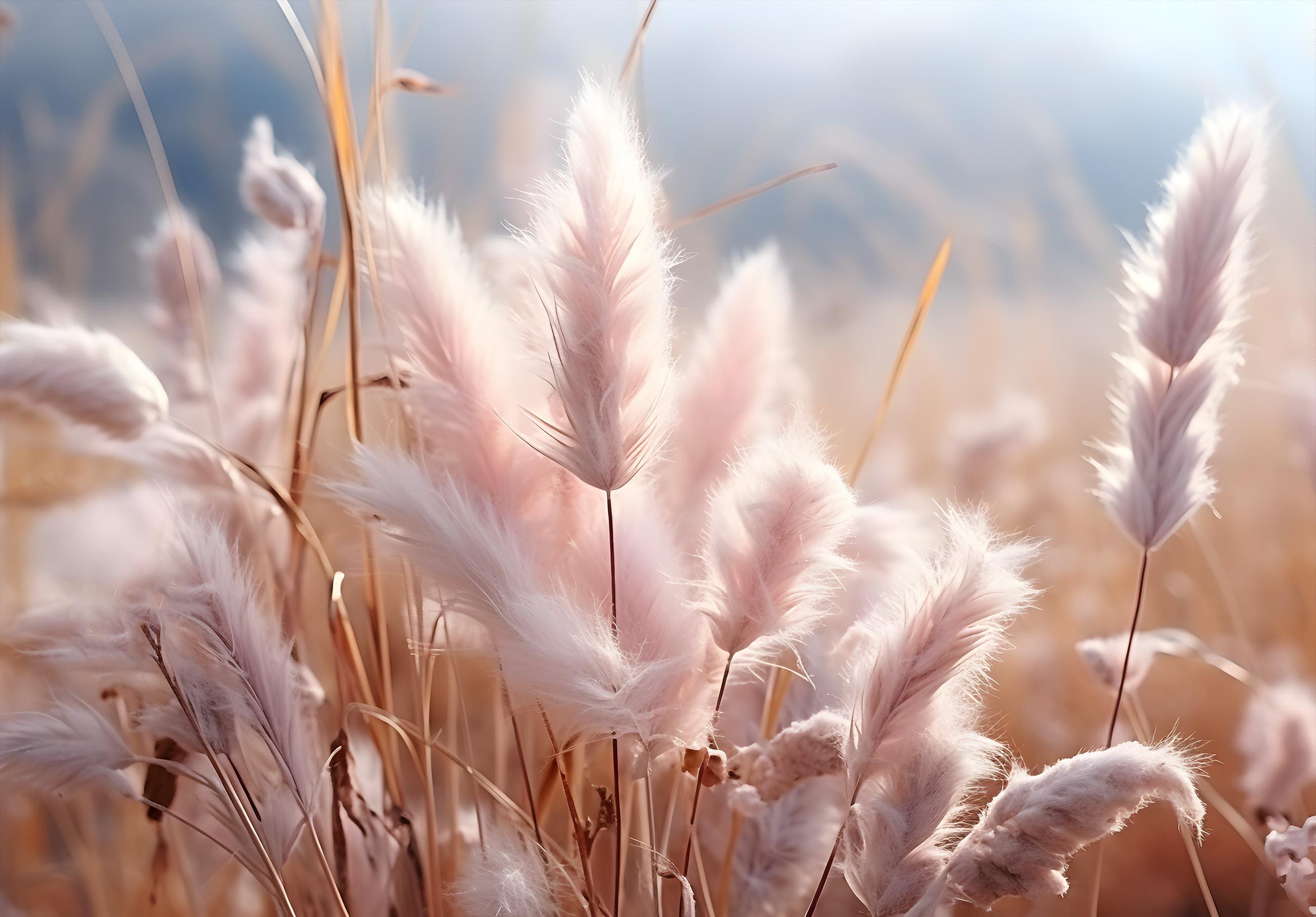 Wallarena Fototapete Pampasgras Boho Vlies Tapete Wohnzimmer Schlafzimmer W günstig online kaufen