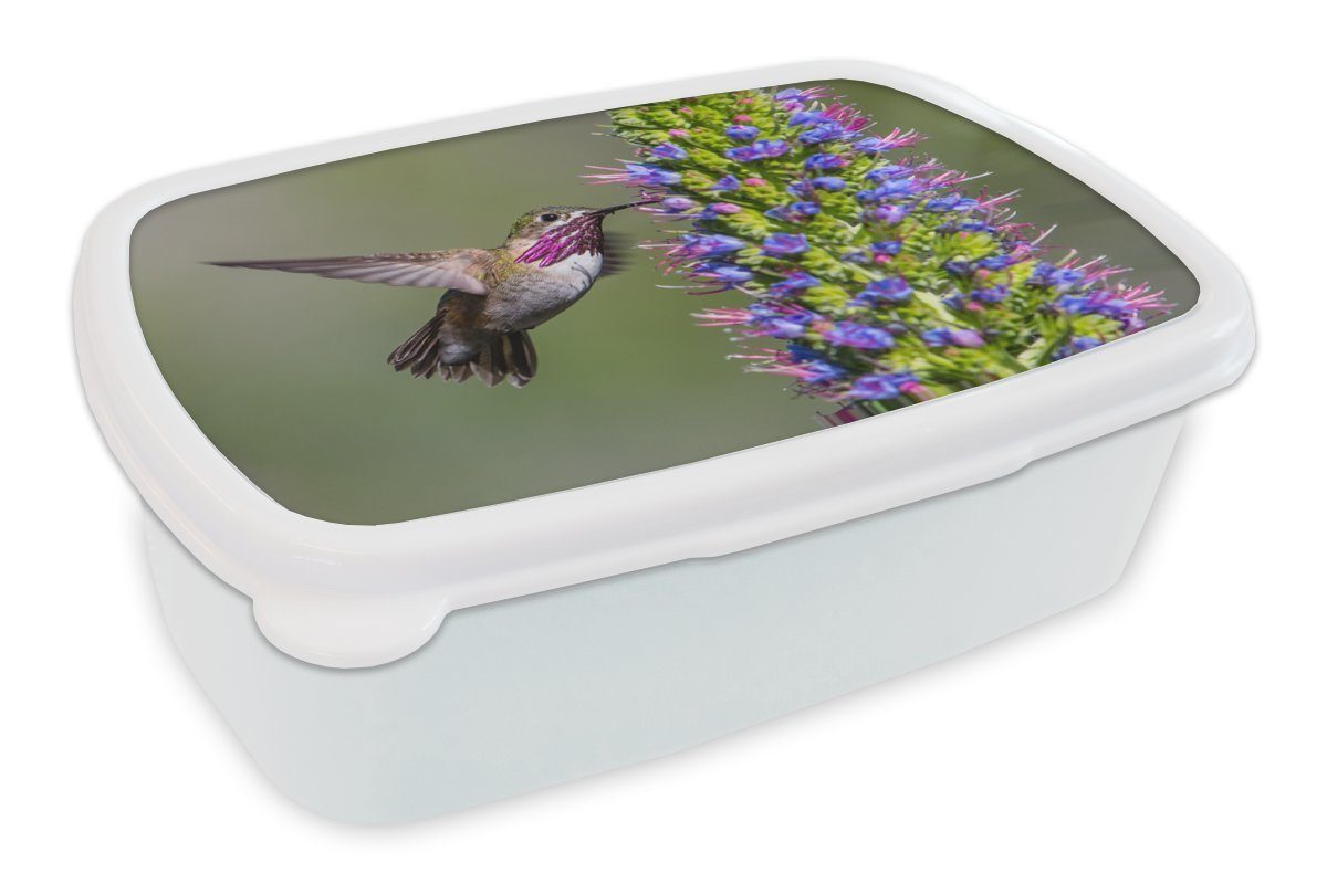 MuchoWow Lunchbox Kolibri - Pflanze - Lila, Kunststoff, (2-tlg), Brotbox für Kinder und Erwachsene, Brotdose, für Jungs und Mädchen weiß