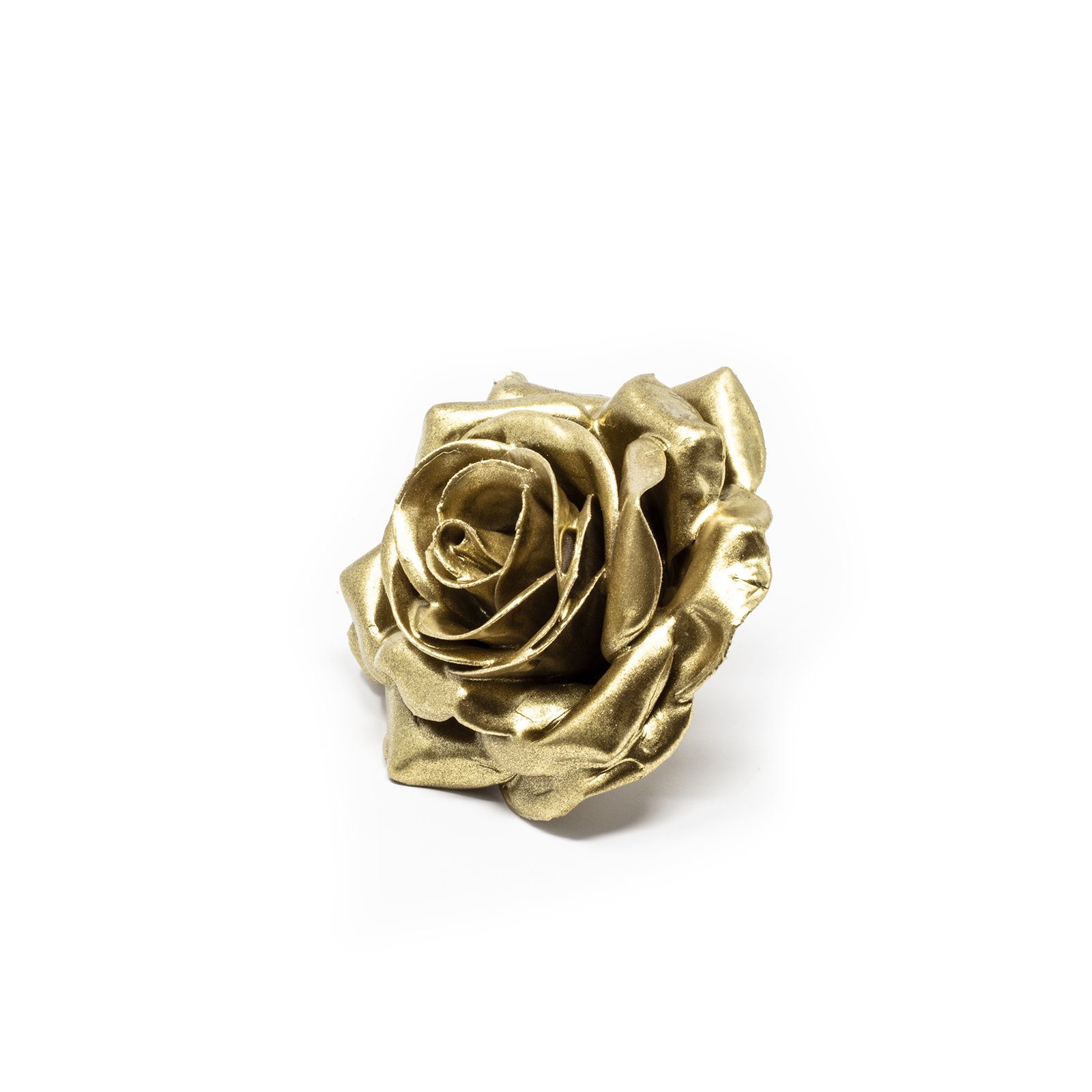 Trockenblume 12er Set Wachsrose - Gold, Primera, Höhe 25 cm