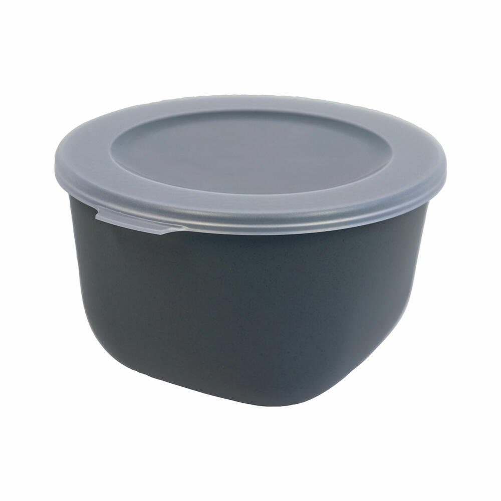 KOZIOL Vorratsdose Connect Box 1, Nature Ash Grey, 1 L, Biozirkulärer Kunststoff