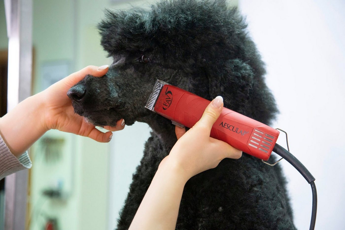 Thumbnail - Kerbl Hundeschermaschine Kerbl GT105