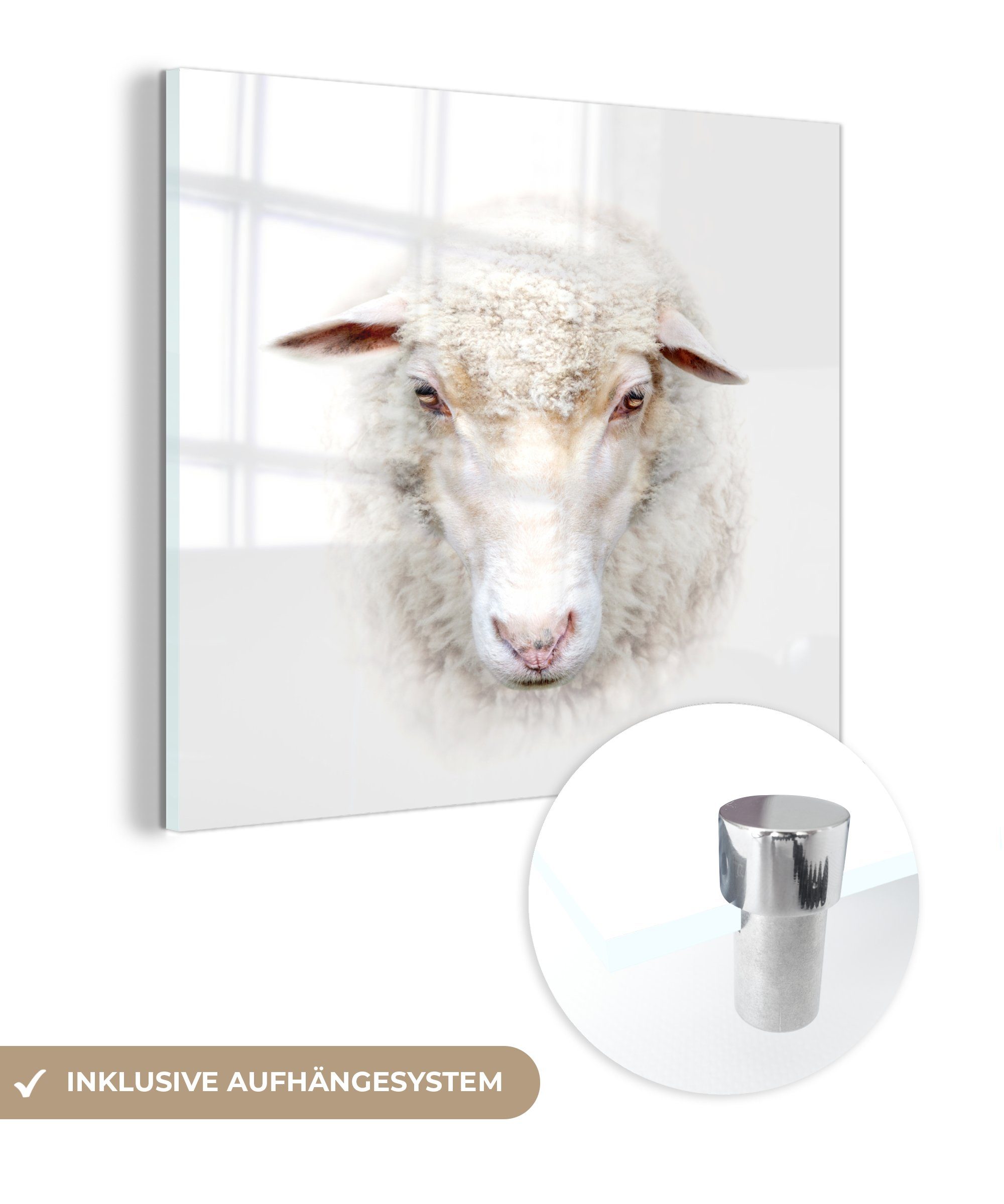 MuchoWow Acrylglasbild Schafe - Porträt - Wolle, (1 St), Glasbilder - Bilder auf Glas Wandbild - Foto auf Glas - Wanddekoration | Bilder
