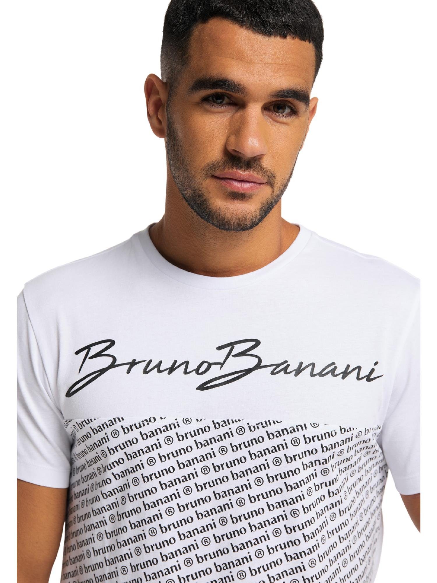 SANCHEZ Bruno Banani Melange / T-Shirt Grau