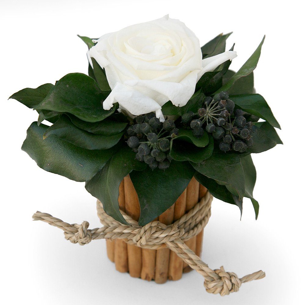 Kunstblumenstrauß Blumenstrauß Zimtbecher Infinity Rosen Kunstpflanze, günstig online kaufen
