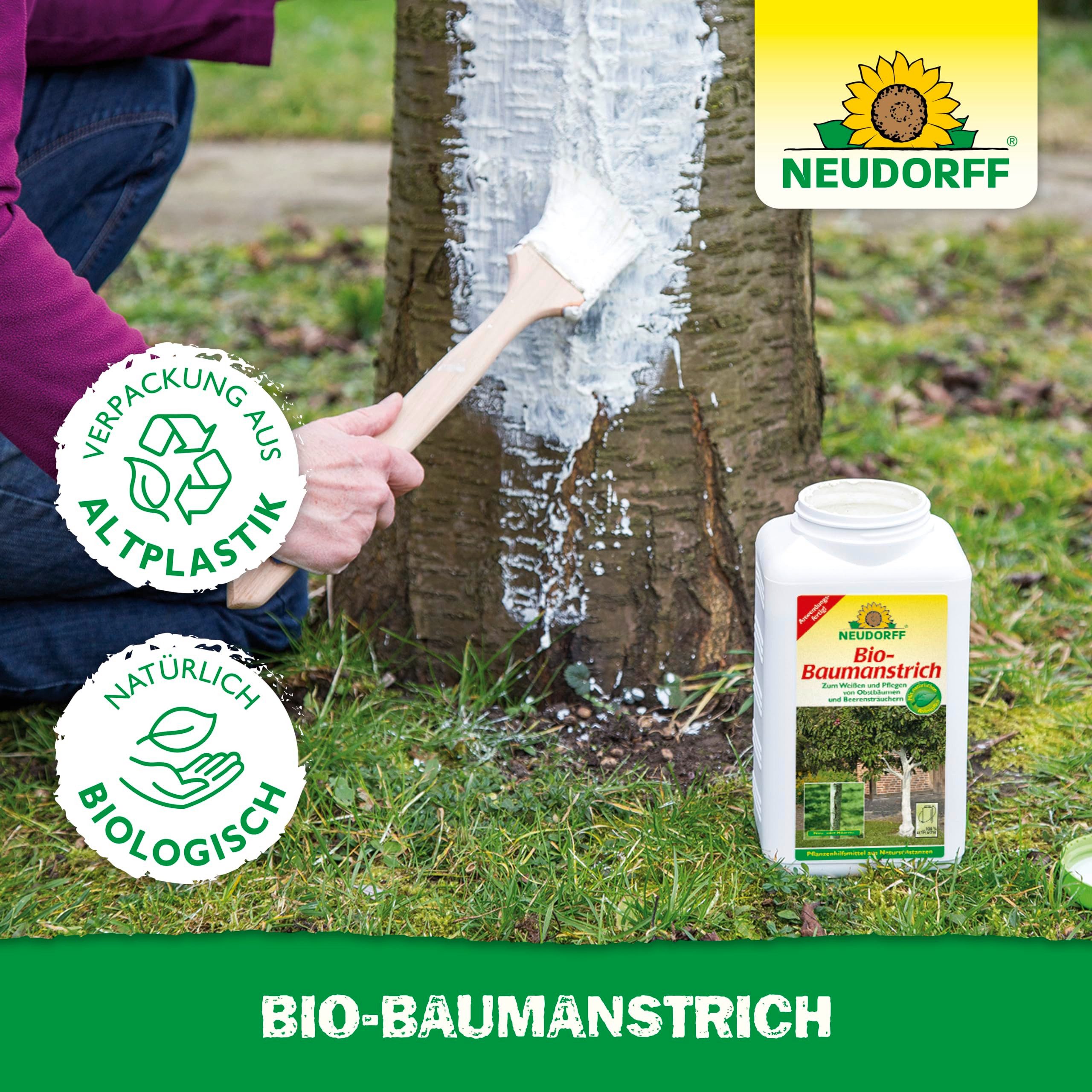 Neudorff Baumanstrich Bio-Baumanstrich 2L in max. 24h abgebunden, Anwendungsfertiger Kalkanstrich für Obstbäume zum natürlichen Weißen und Pflegen von Obstbäumen und Beerensträuchern, Weißanstrich kann ganzjährig an trockenen, Pflanzenhilfsmittel aus Natursubstanzen