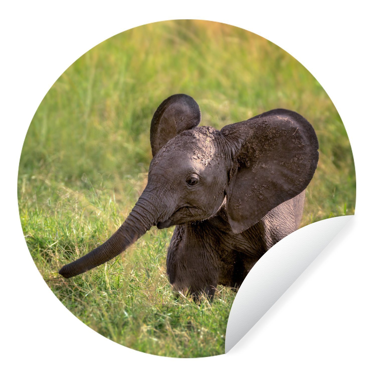 MuchoWow Wandsticker Elefant - Baby - Kalb (1 St), Tapetenkreis für Kinderzimmer, Tapetenaufkleber, Rund, Wohnzimmer