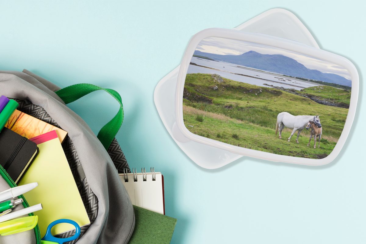 MuchoWow Lunchbox Mutterpferd und Fohlen Mädchen Kinder Jungs weiß Irland, für Brotdose, (2-tlg), und Kunststoff, Brotbox und für Erwachsene, in