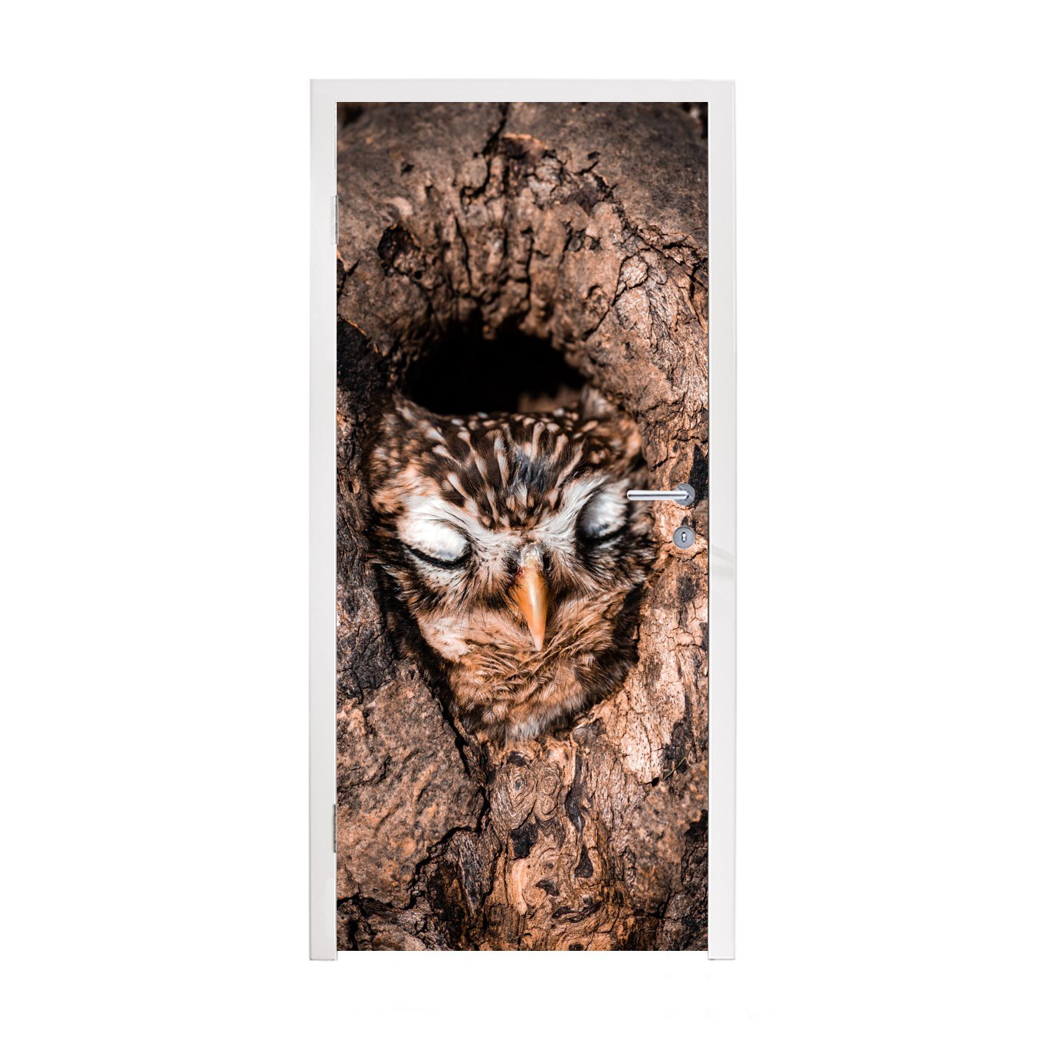 MuchoWow Türtapete Eule - Schlaf - Baum, Matt, bedruckt, (1 St), Fototapete für Tür, Türaufkleber, 75x205 cm