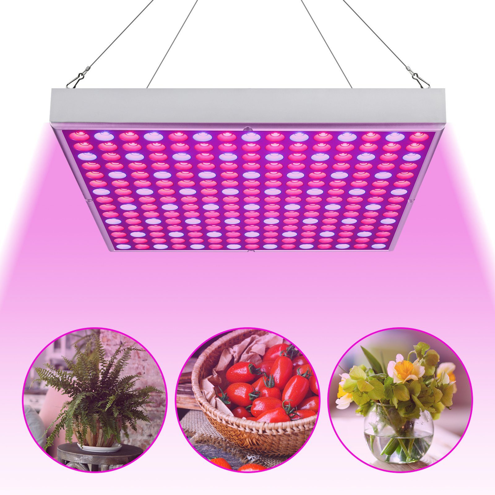 Flower, Lampe Tent Blau, Pflanzenlampe 15W & Lospitch Greenhouse Veg Pflanzenlampe Rot 225 LED Vollspektrum und Grow Grow